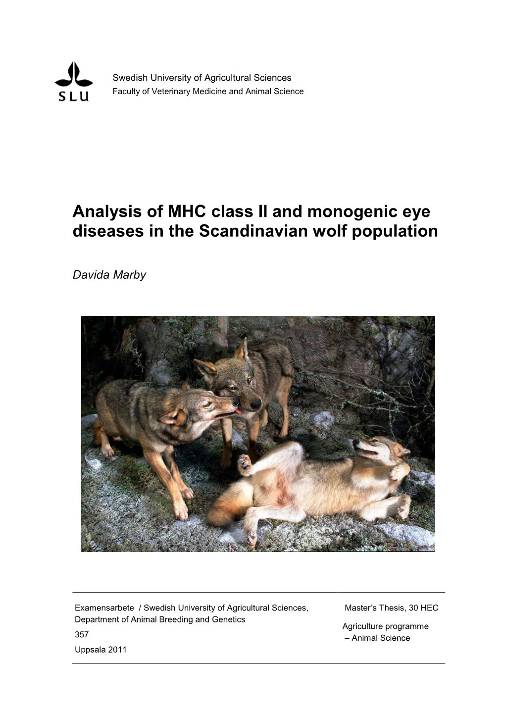 Analysis of MHC Class II and Monogenic Eye Diseases in the Scandinavian Wolf Population