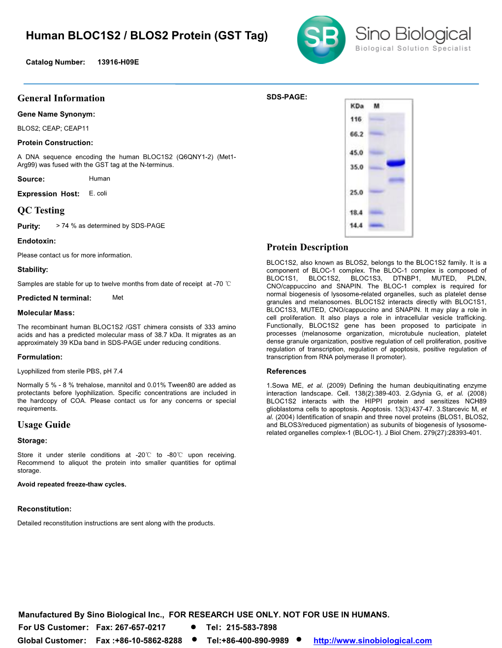 Human BLOC1S2 / BLOS2 Protein (GST Tag)