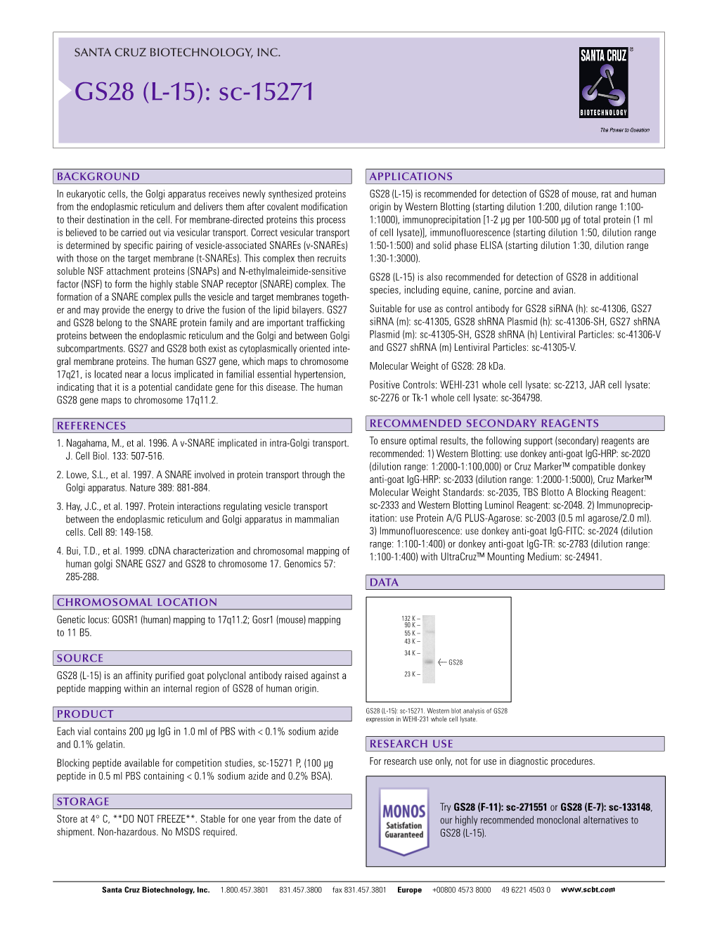 Datasheet Blank Template