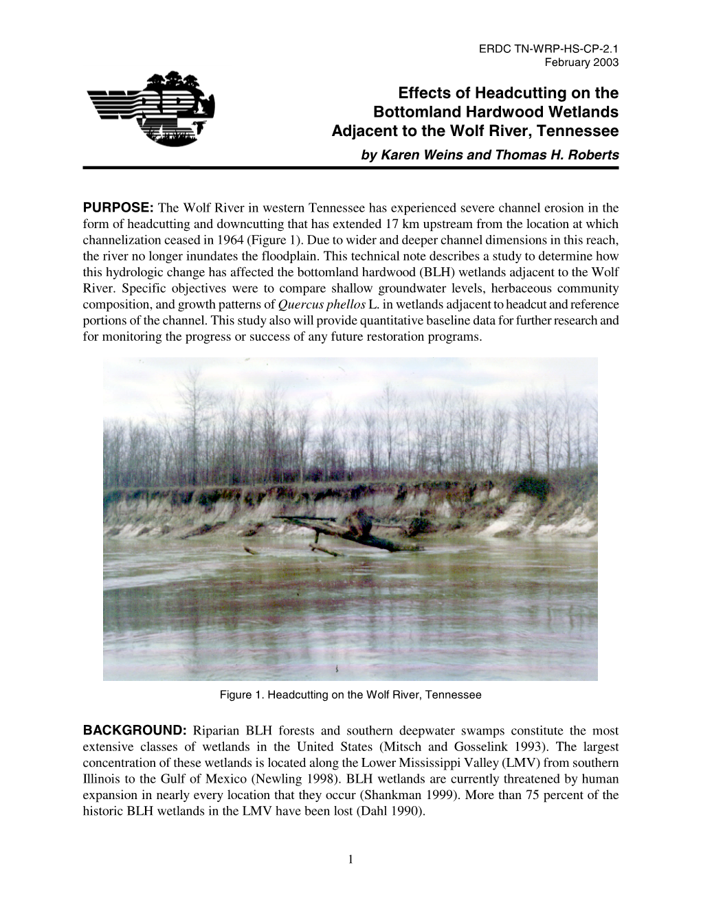 Effects of Headcutting on the Bottomland Hardwood Wetlands Adjacent to the Wolf River, Tennessee by Karen Weins and Thomas H