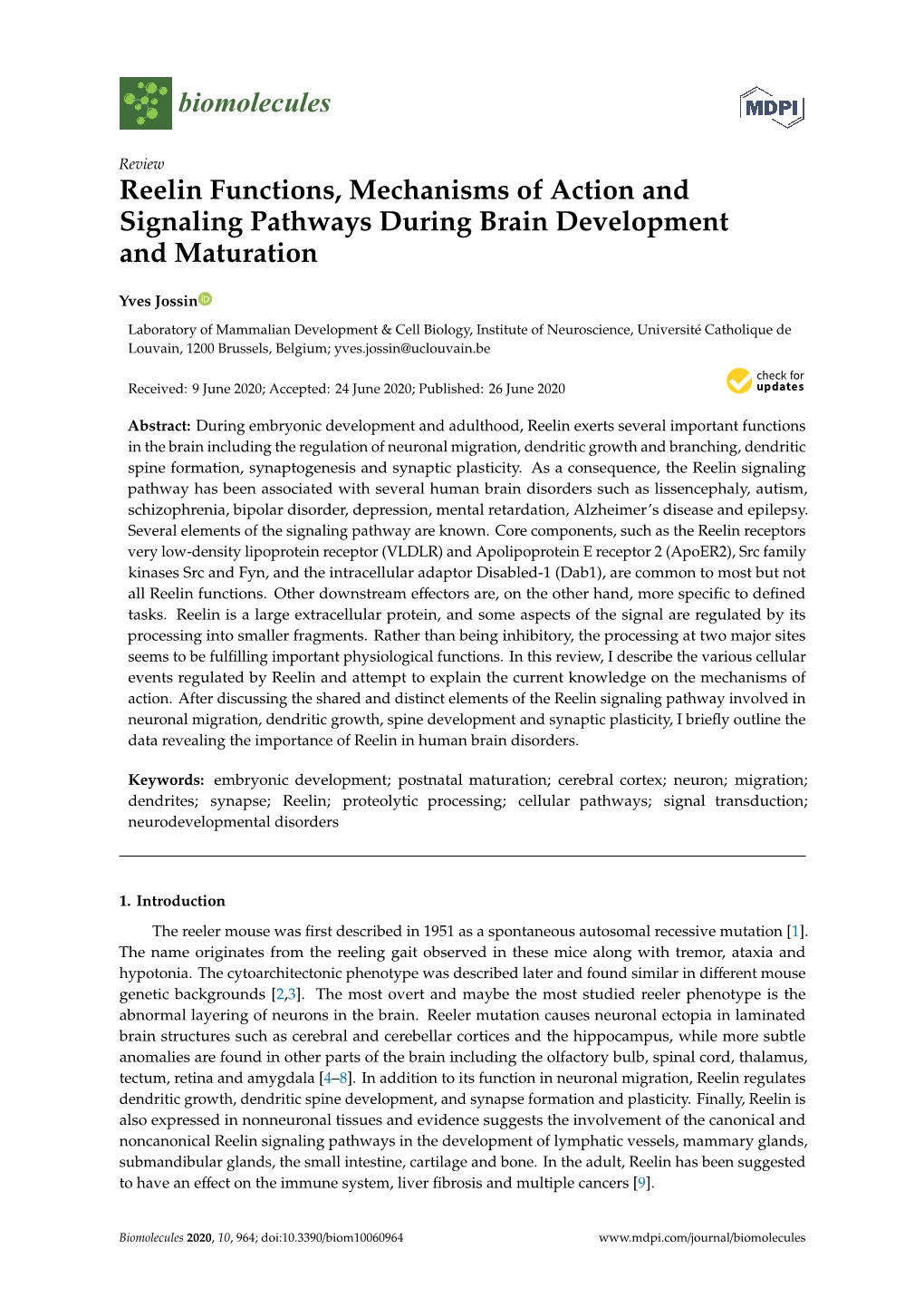 Reelin Functions, Mechanisms of Action and Signaling Pathways During Brain Development and Maturation