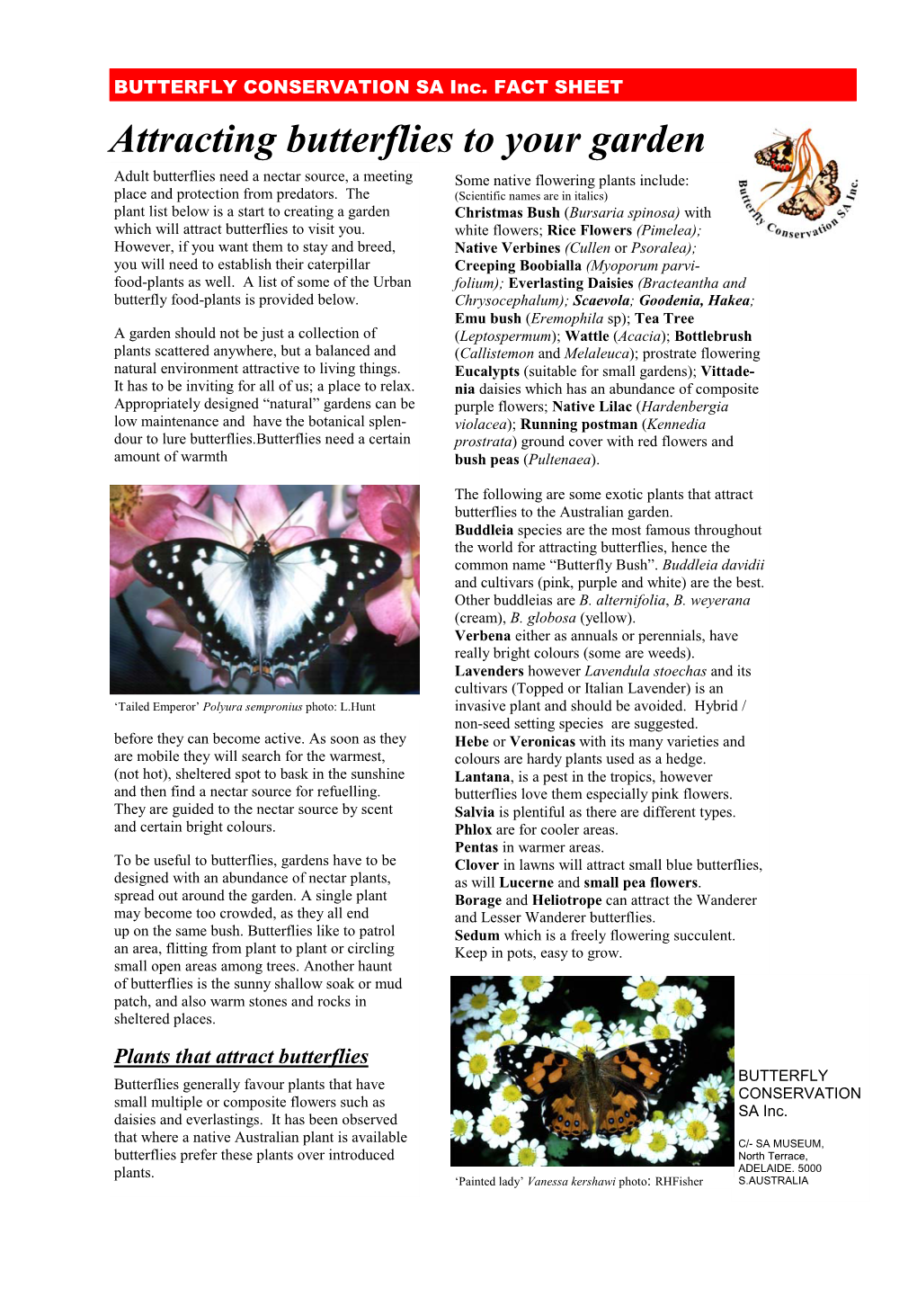 Attracting Butterflies to Your Garden Revised Feb07.Pub