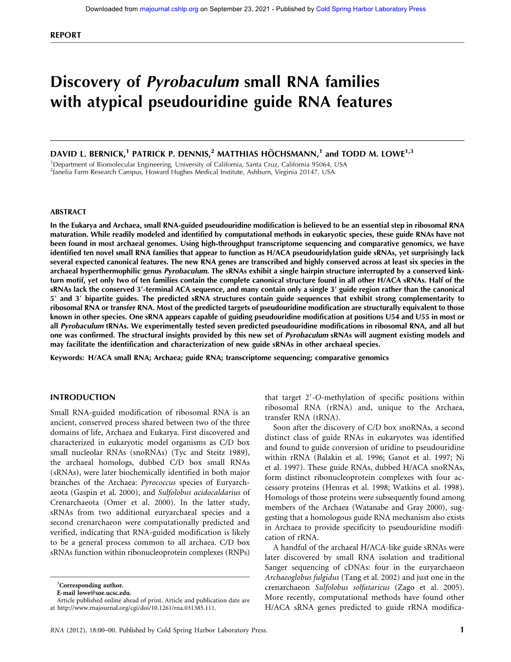 Discovery of Pyrobaculum Small RNA Families with Atypical Pseudouridine Guide RNA Features