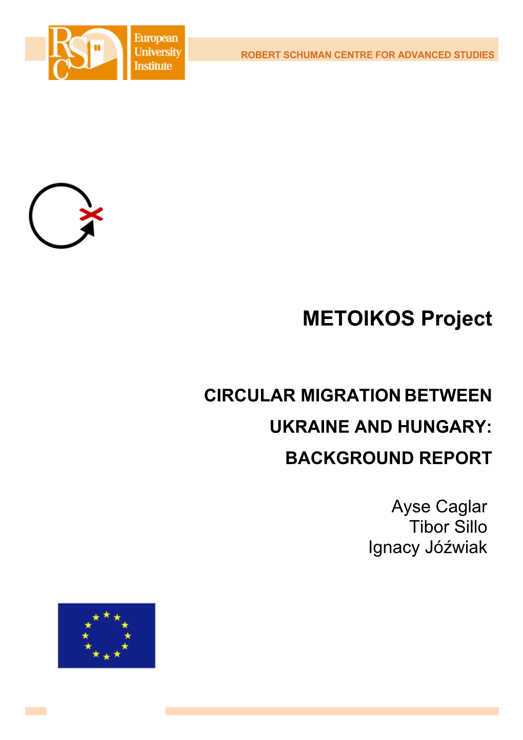 METOIKOS Background Report Ukraine Hungary June 2011