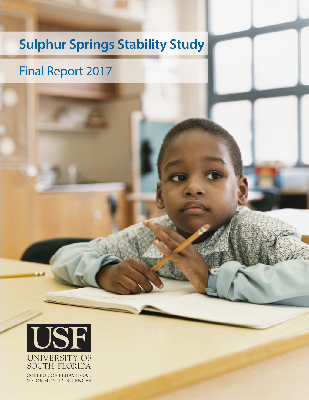 Sulphur Springs Stability Study Final Report 2017