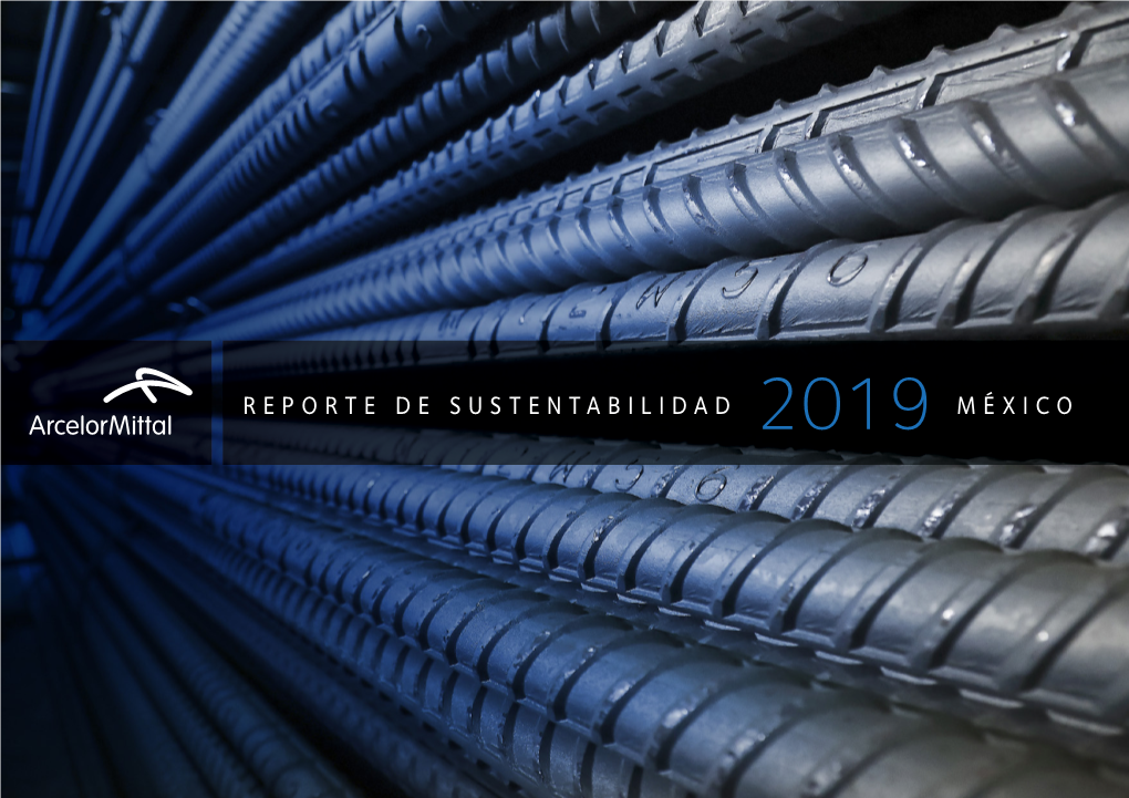 Reporte De Sustentabilidad México 2019