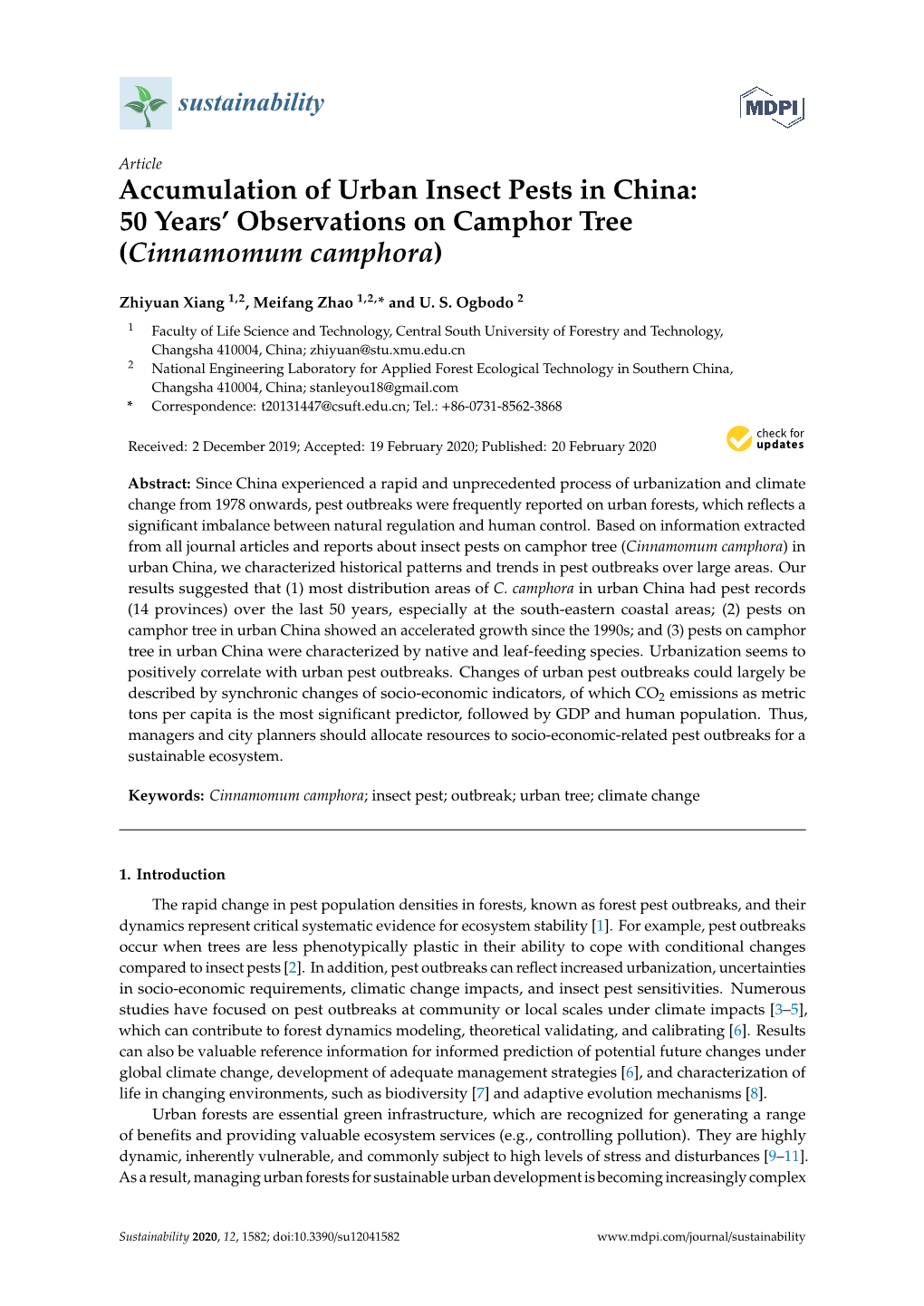 50 Years' Observations on Camphor Tree (Cinnamomum Camphora)