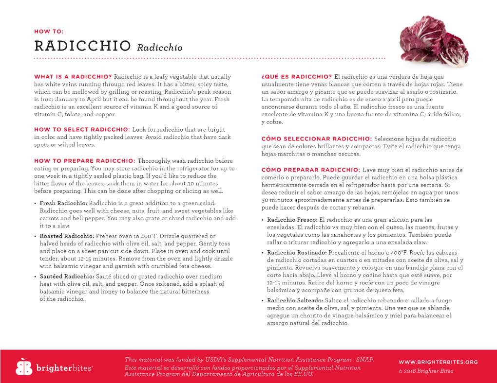 Radicchio-1.Pdf