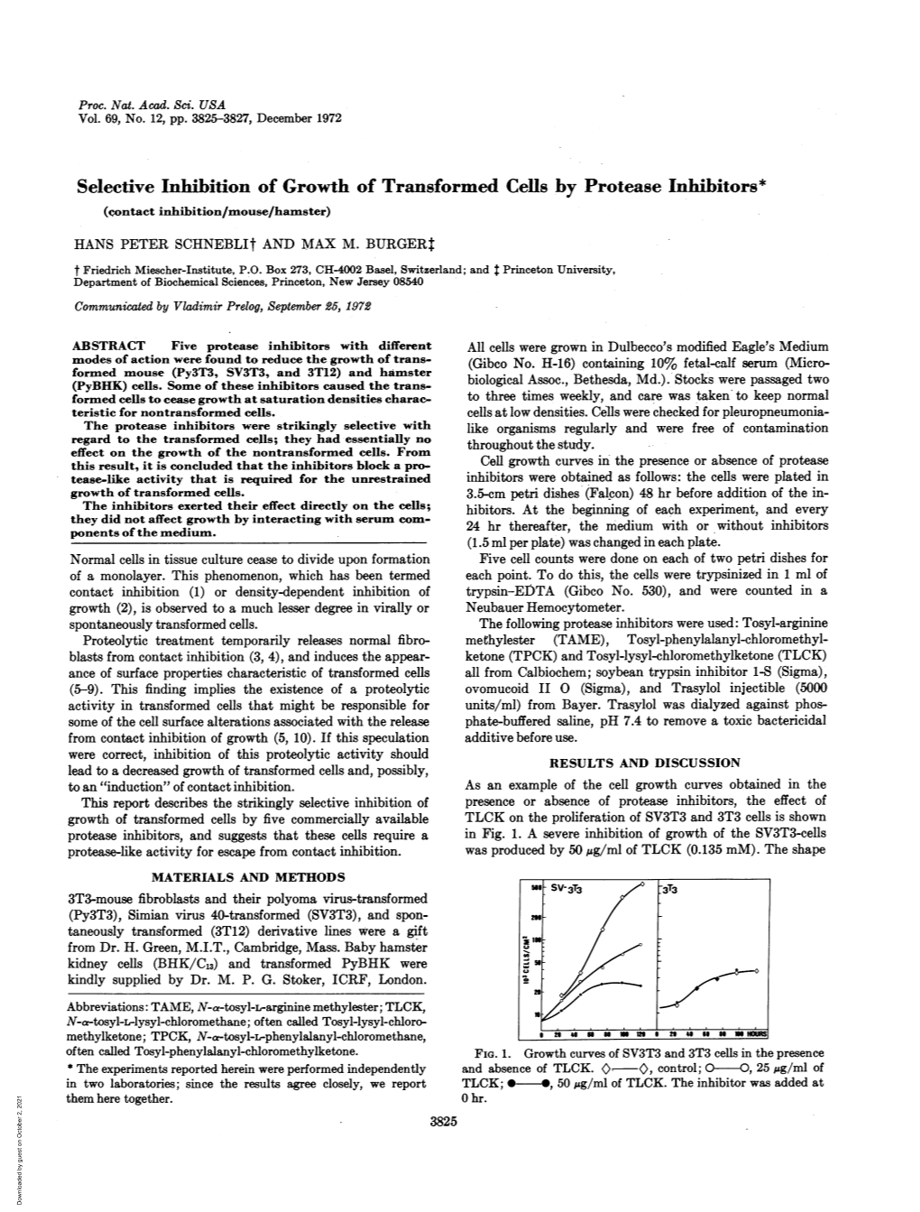 Selective Inhibition of Growth of Transformed Cells by Protease Inhibitors* (Contact Inhibition/Mouse/Hamster)