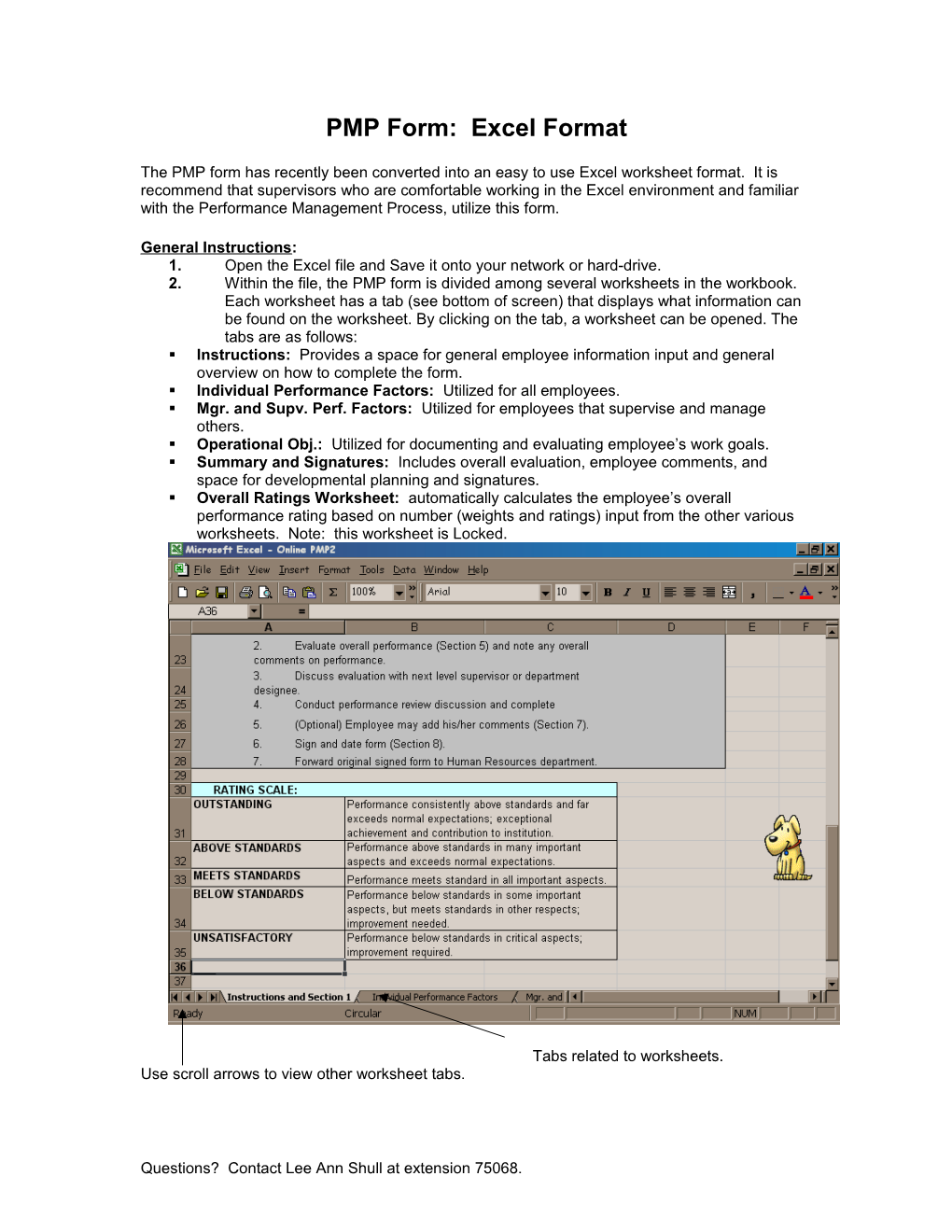 PMP Form: Excel Format