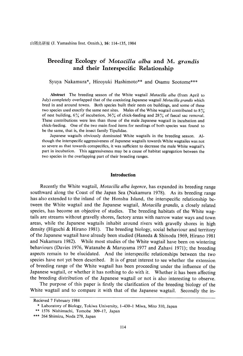 Breeding Ecology of Motacilla Alba and M. Grandis and Their Interspecific Relationship