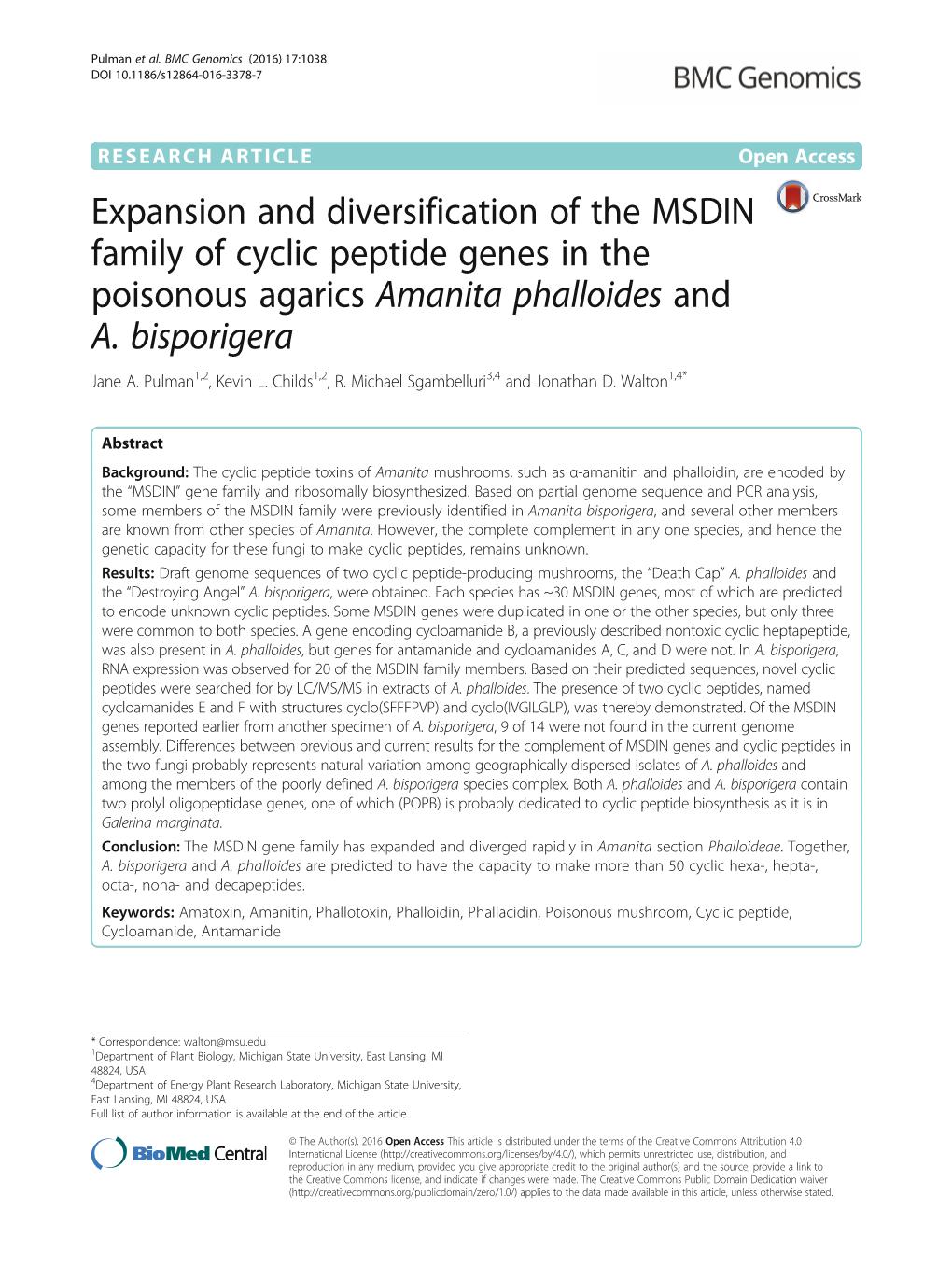 Expansion and Diversification of the MSDIN Family of Cyclic Peptide Genes in the Poisonous Agarics Amanita Phalloides and A