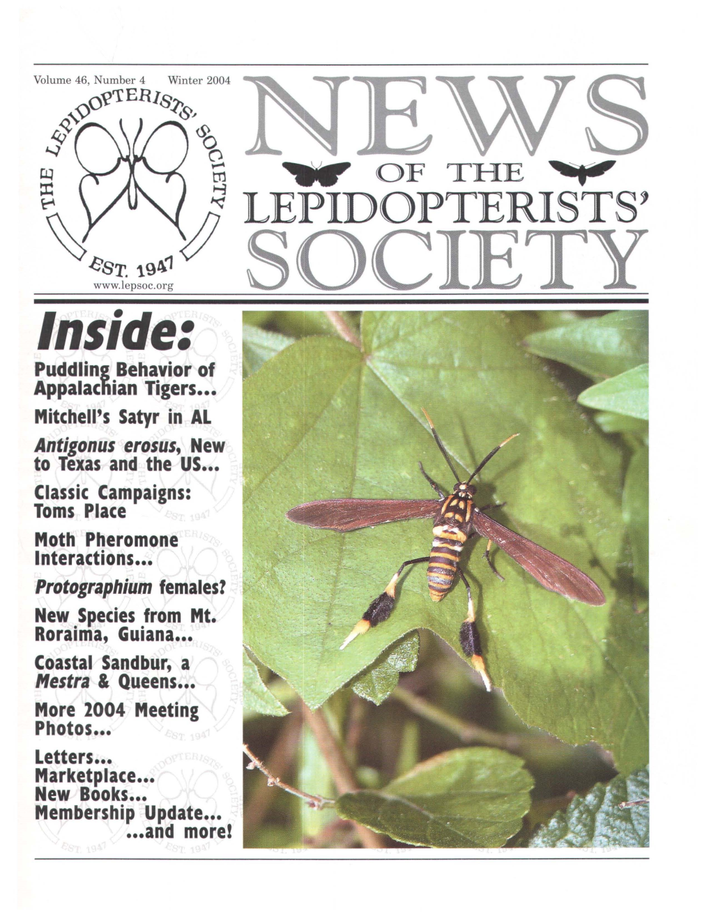 Antigonus Erosus Hubner (Hes~Eriidae Pyrginae), a New US "Record from "Soutll Texas
