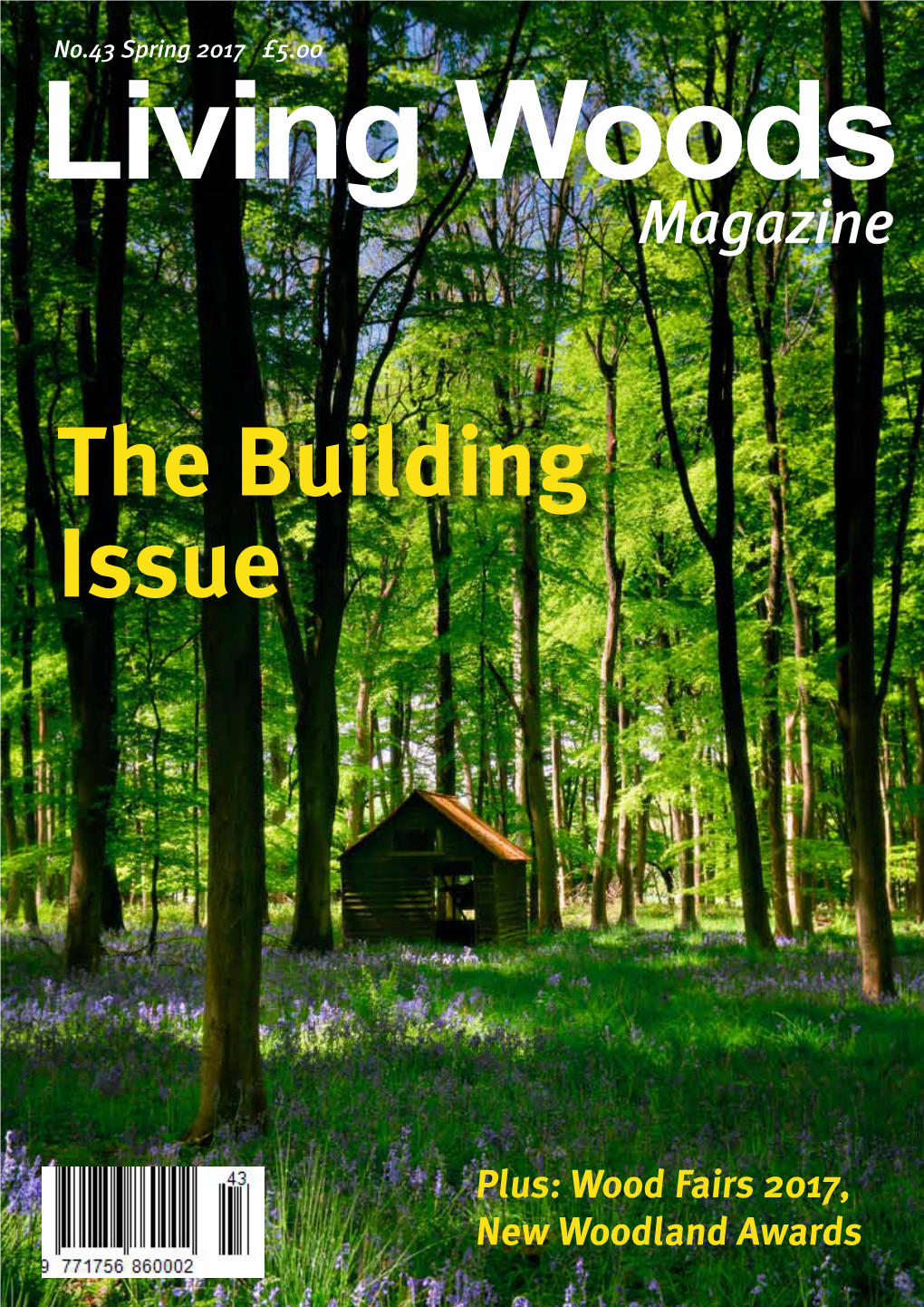 The Building Issue