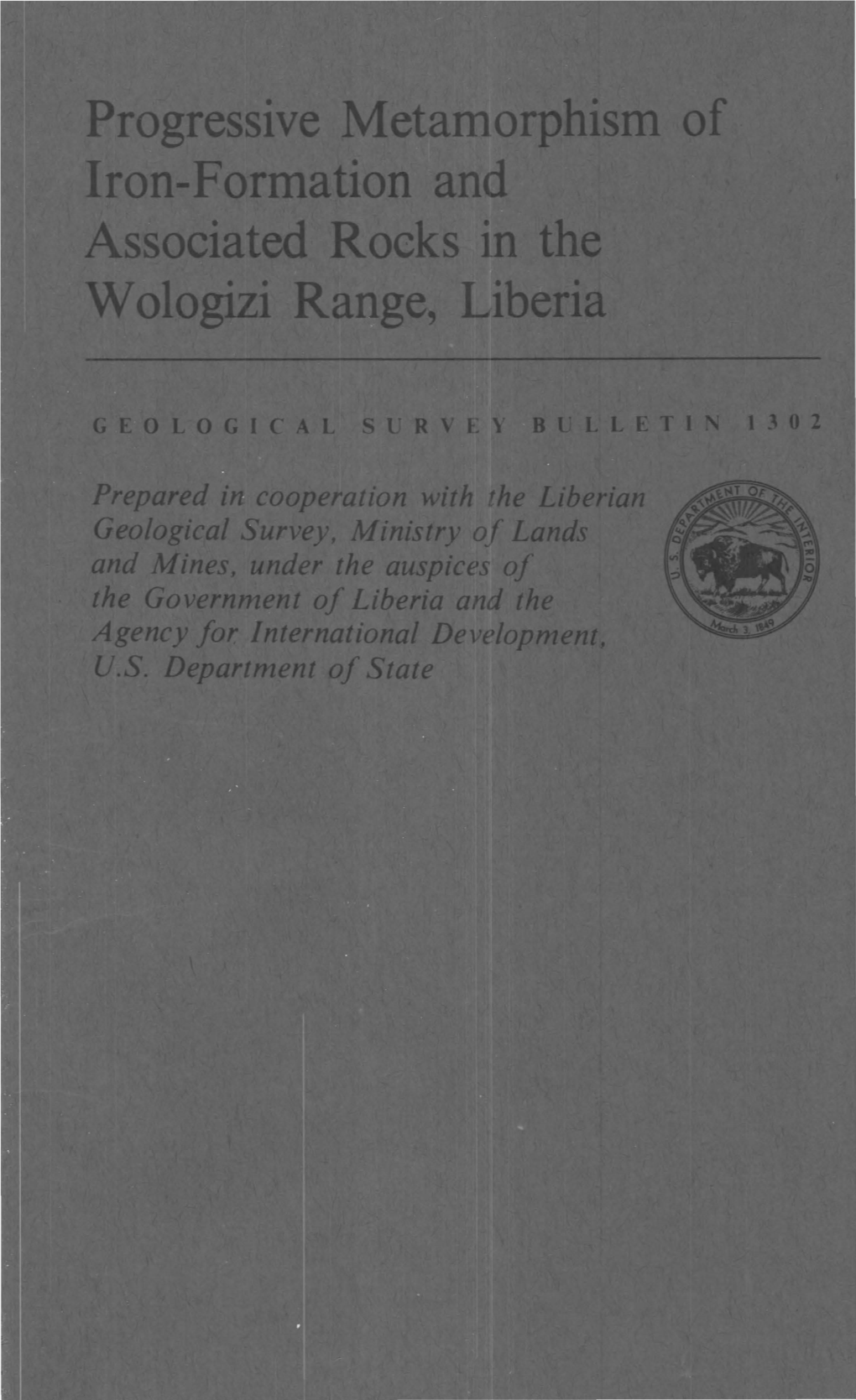 Iron-Formation and Associated Rocks in the W Ologizi Range, Liberia