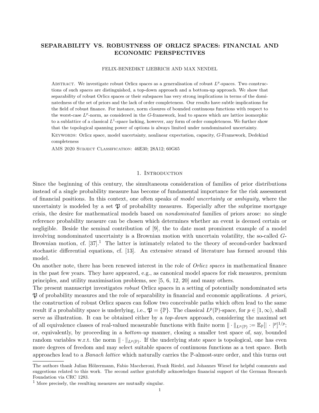 Separability Vs. Robustness of Orlicz Spaces: Financial and Economic Perspectives