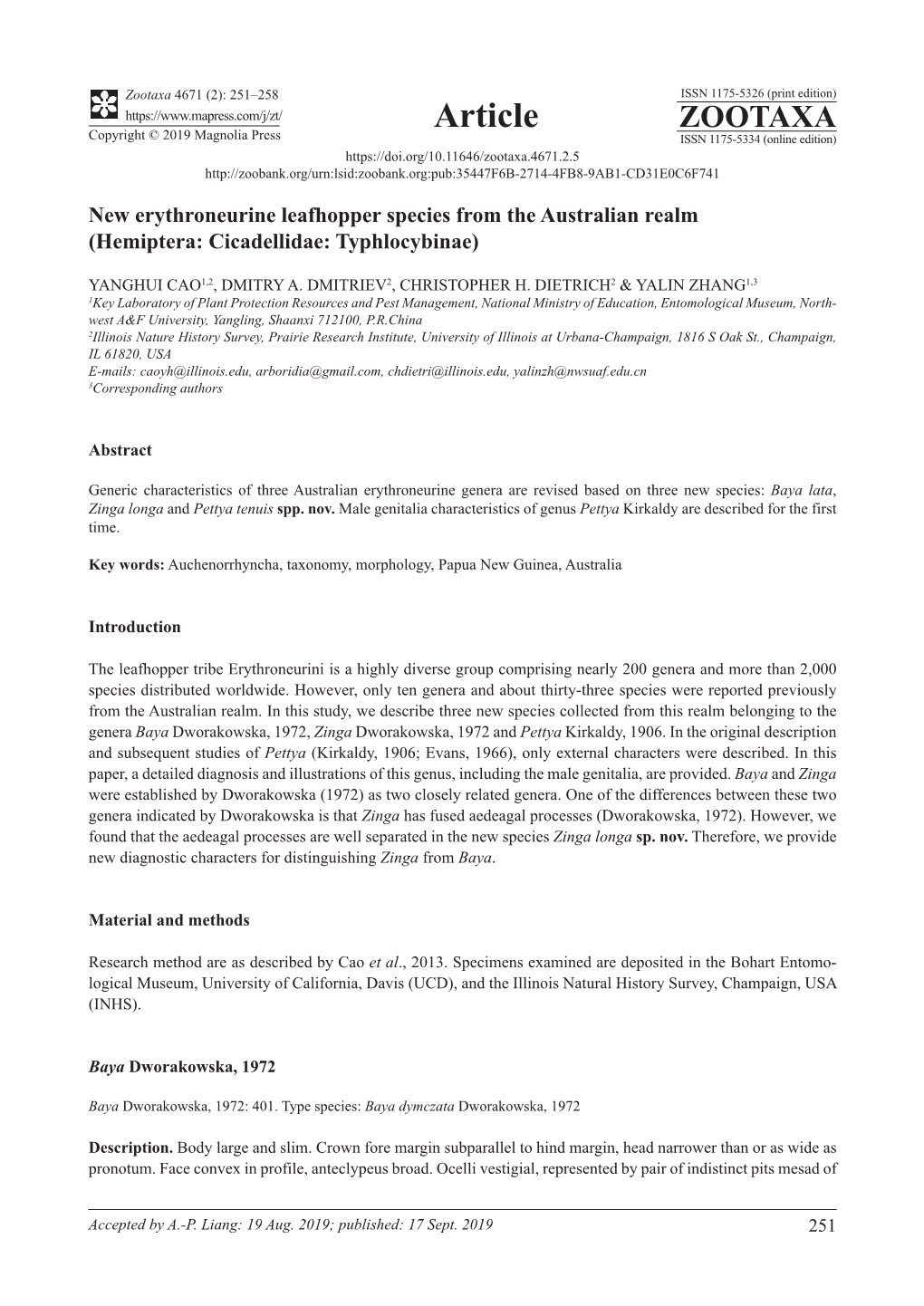 New Erythroneurine Leafhopper Species from the Australian Realm (Hemiptera: Cicadellidae: Typhlocybinae)