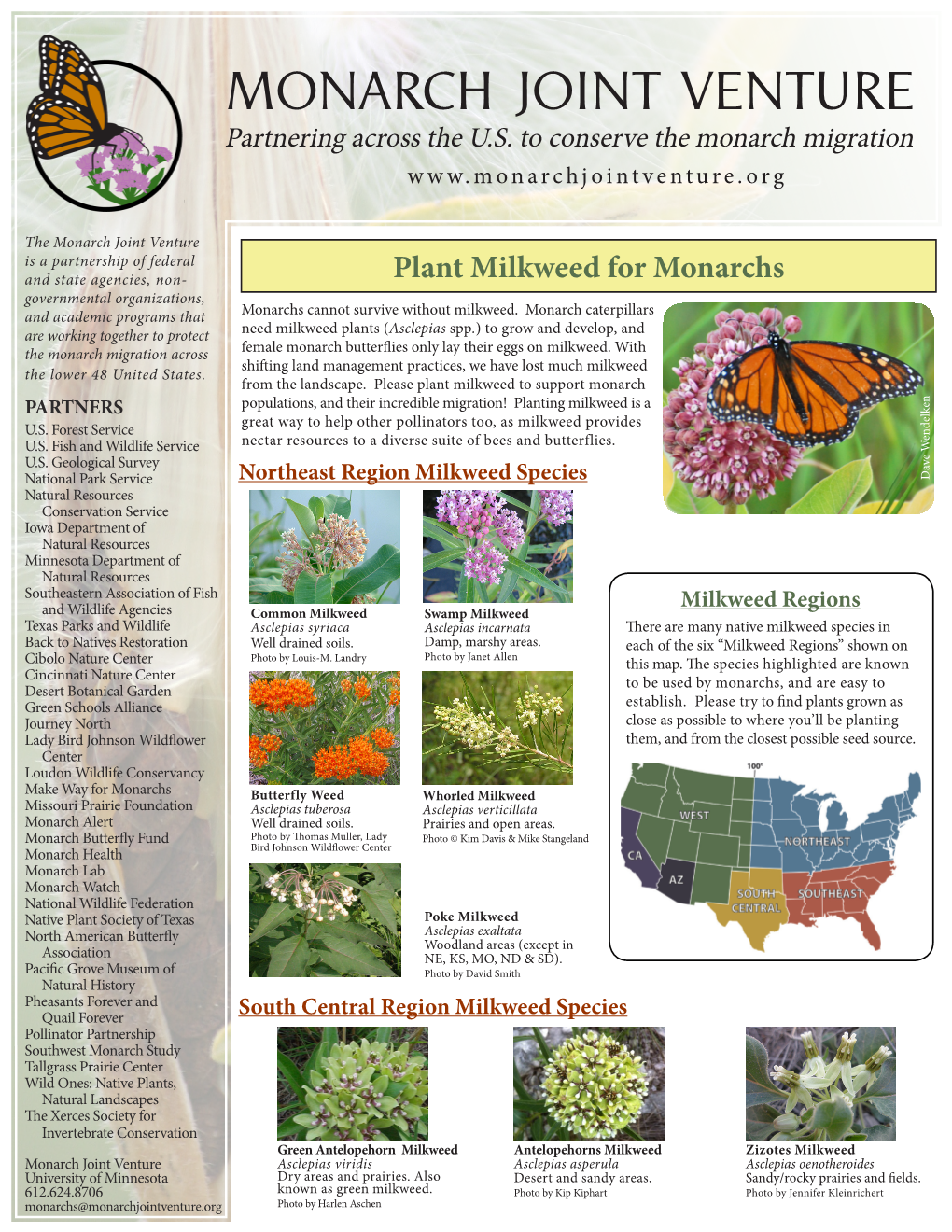 Native Milkweed Species in Back to Natives Restoration Well Drained Soils