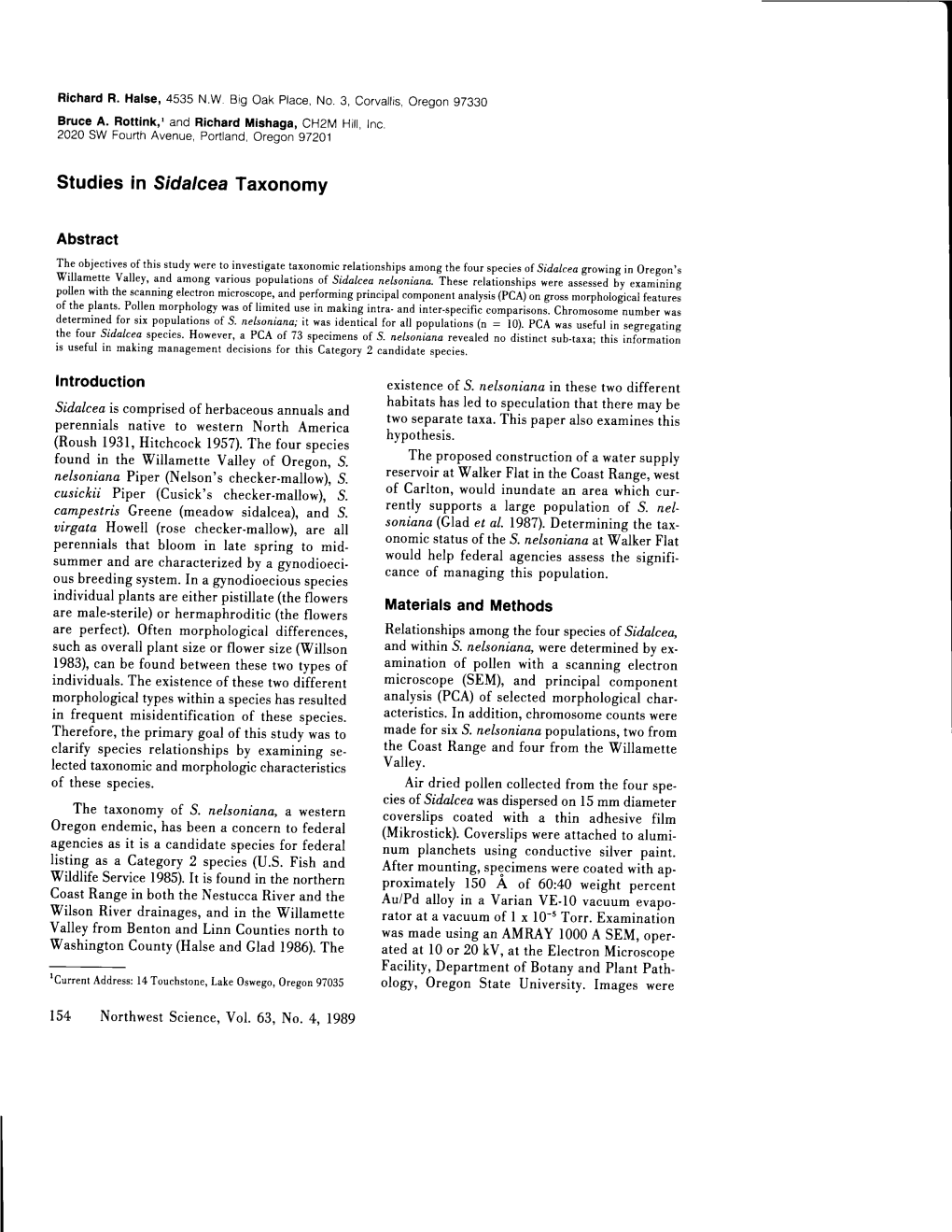 Studies in Sidalcea Taxonomy