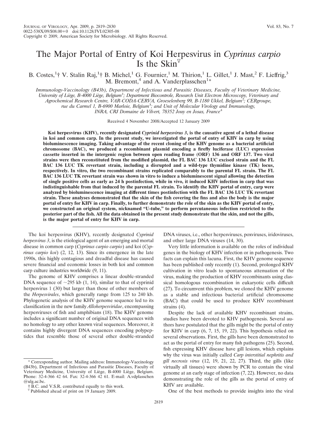 The Major Portal of Entry of Koi Herpesvirus in Cyprinus Carpio Is the Skinᰔ B