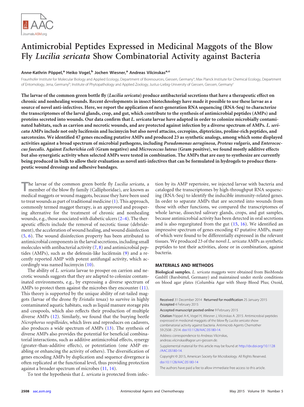 Antimicrobial Peptides Expressed in Medicinal Maggots of the Blow Fly Lucilia Sericata Show Combinatorial Activity Against Bacteria