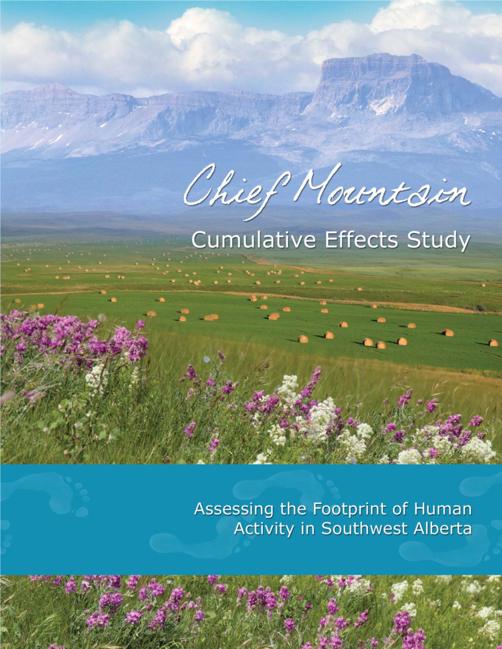 Chief Mountain Landowners Information Network, the Chinook Area Land Users’ Association, the Government of Alberta, I.D