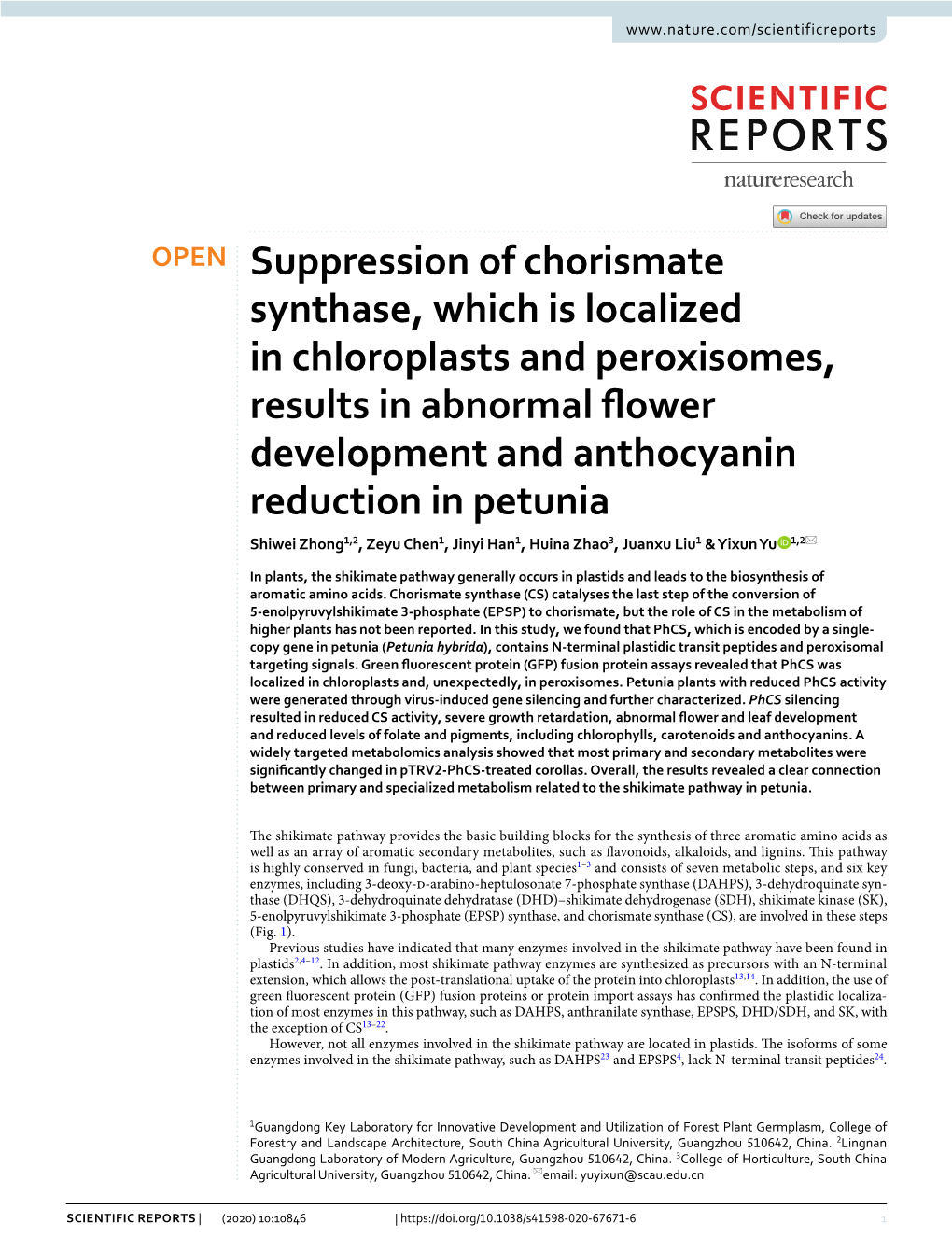 Suppression of Chorismate Synthase, Which Is Localized in Chloroplasts