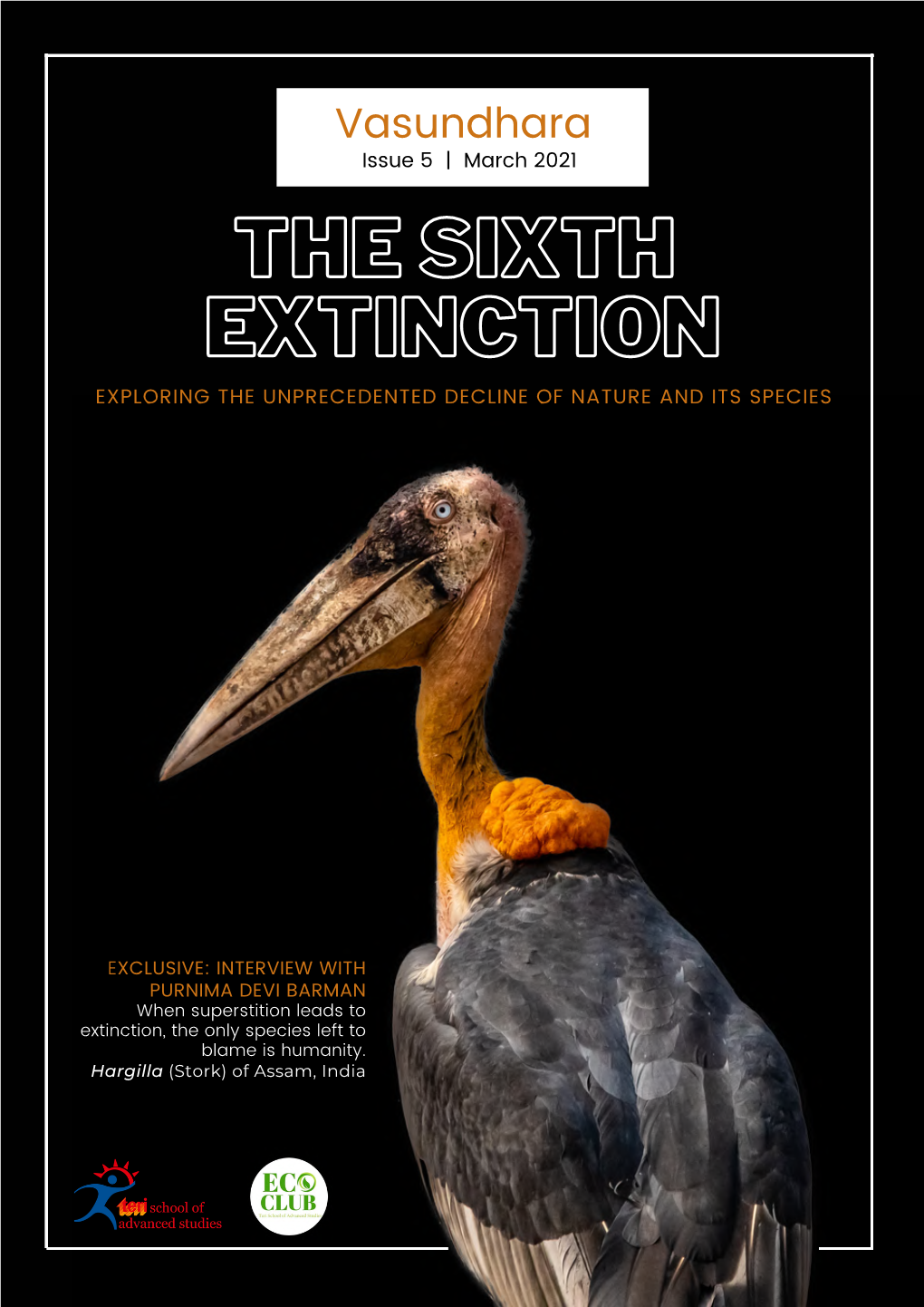 The Sixth the Sixth Extinction