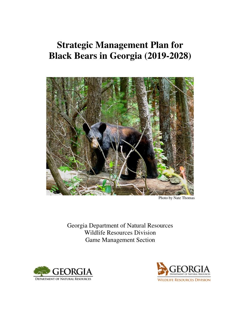 Bear Strategic Management Plan