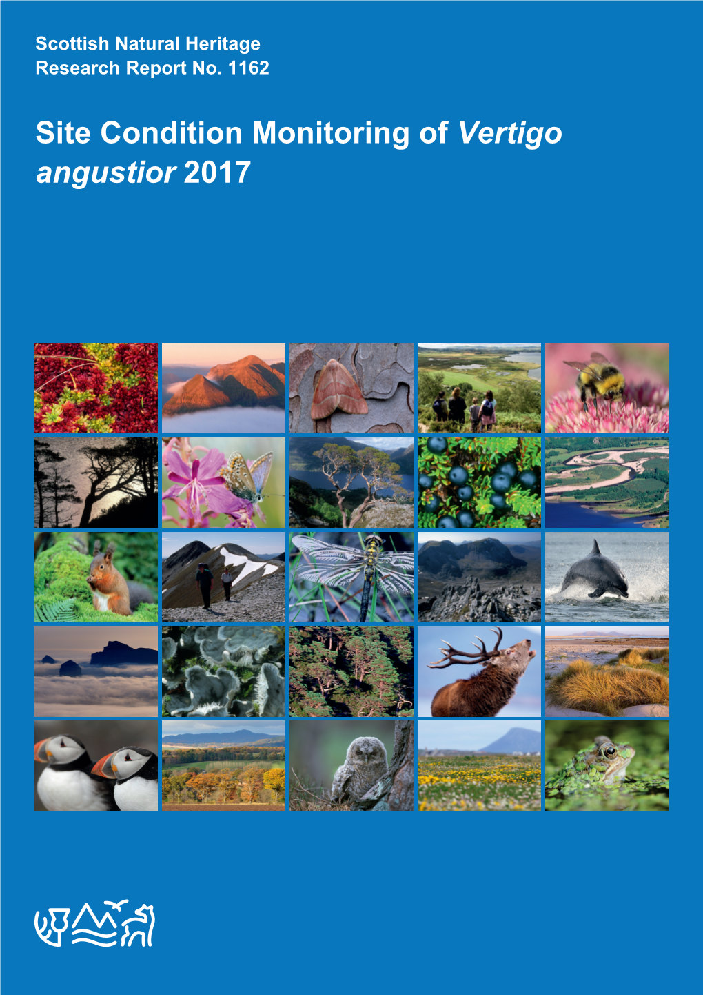 Site Condition Monitoring of Vertigo Angustior 2017