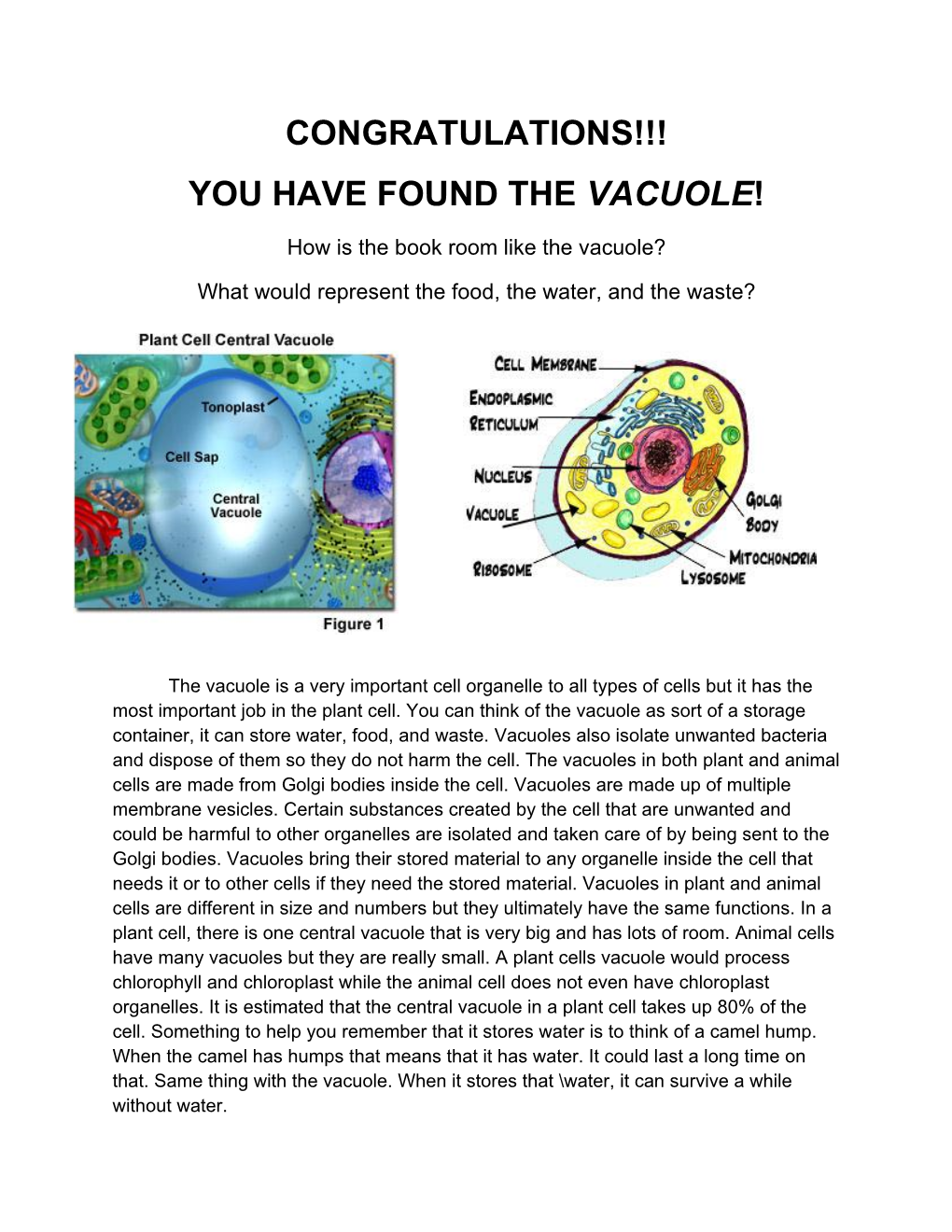 Congratulations!!! You Have Found the Vacuole!