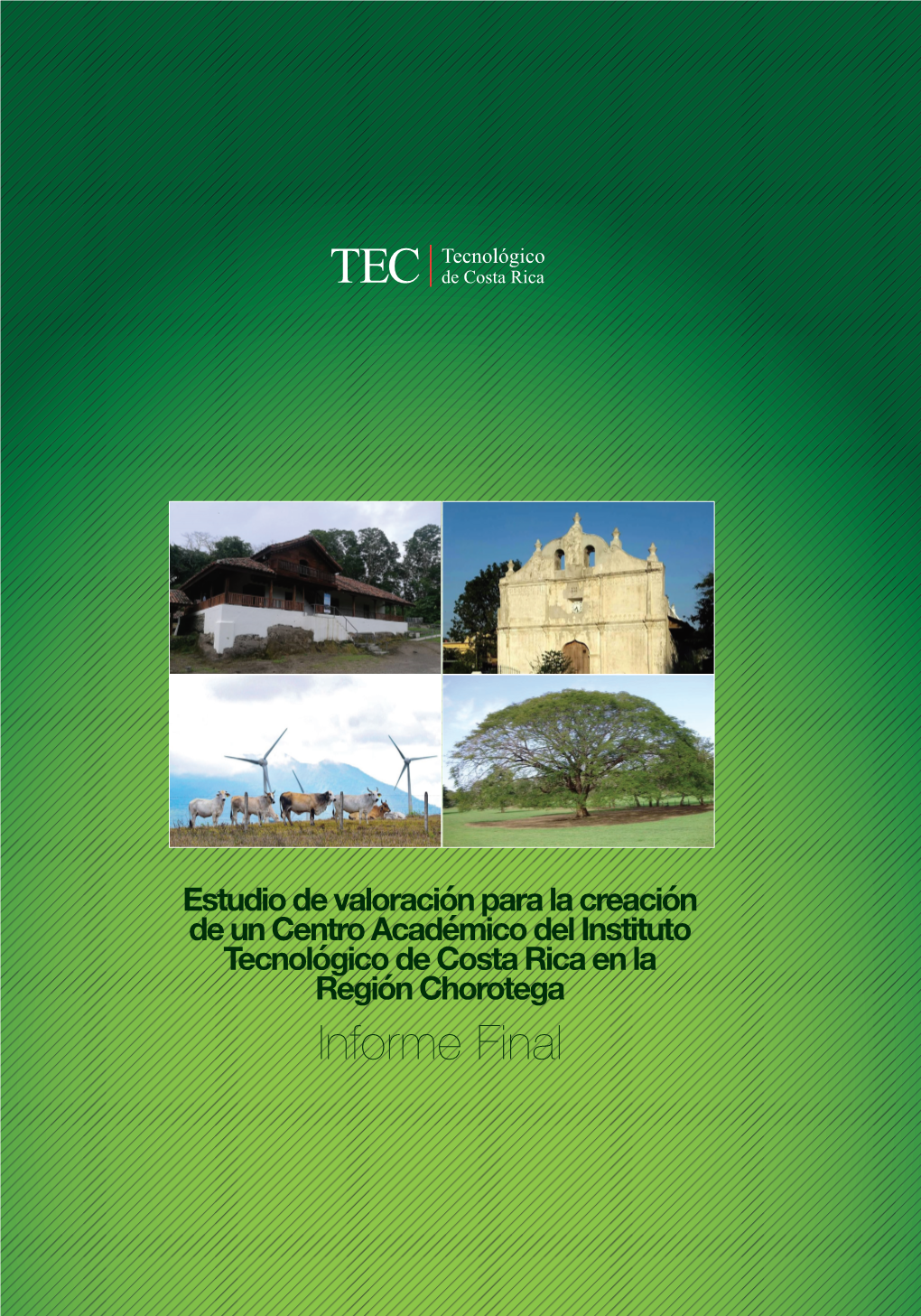 Informe Final