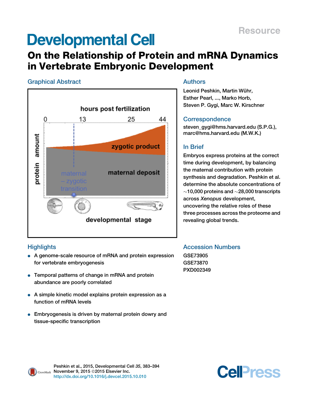 On the Relationship of Protein and Mrna Dynamics in Vertebrate Embryonic Development