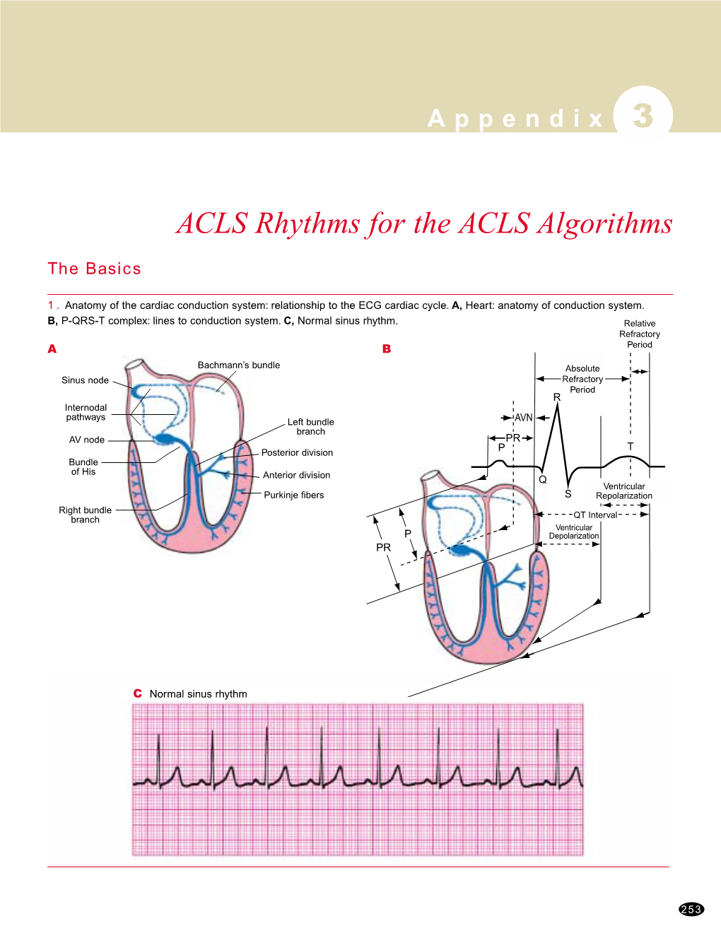 ACLS Rhythms for the ACLS Algorithms