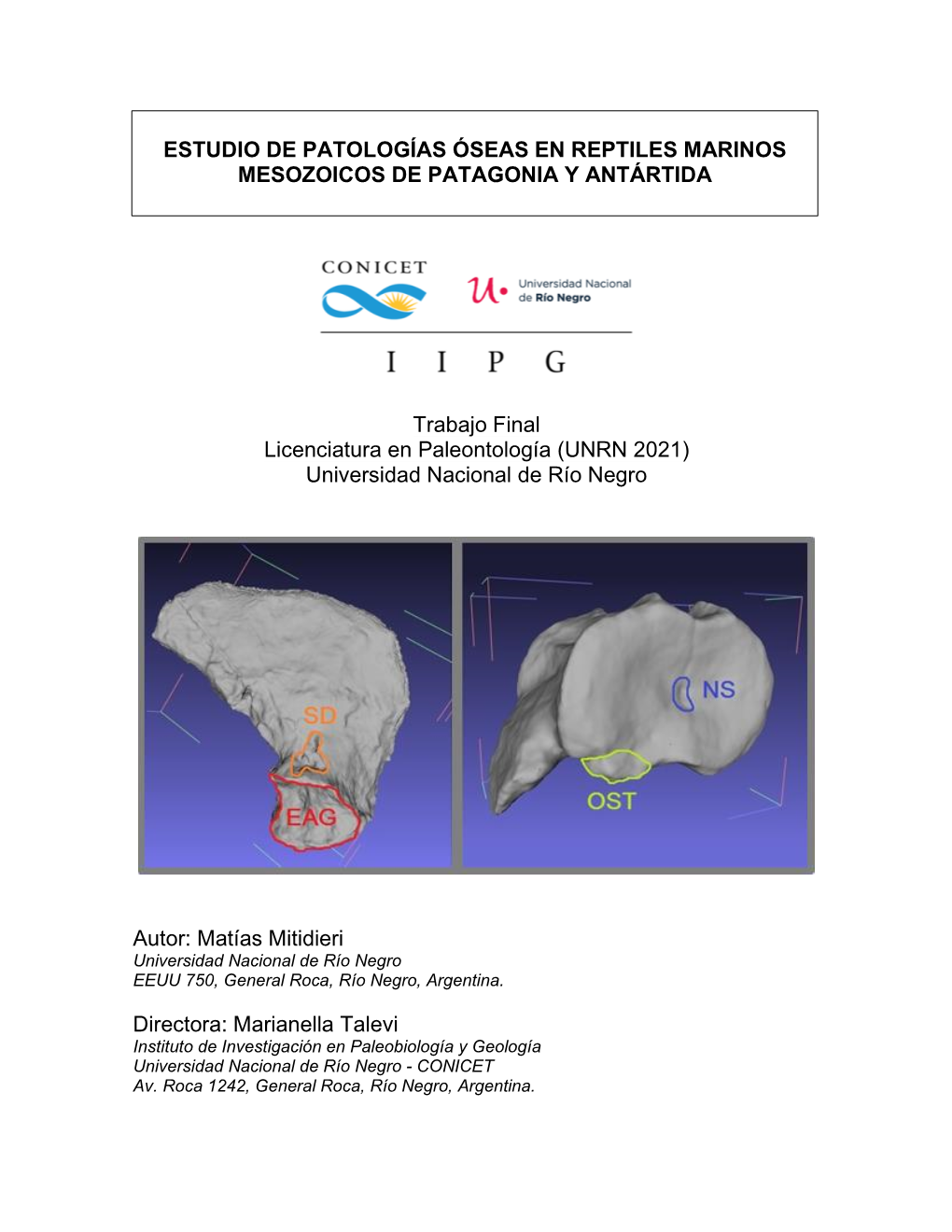 Mitidieri, M. Estudio De Patologías Óseas En Reptiles Marinos Mesozoicos De Patagonia Y Antártida