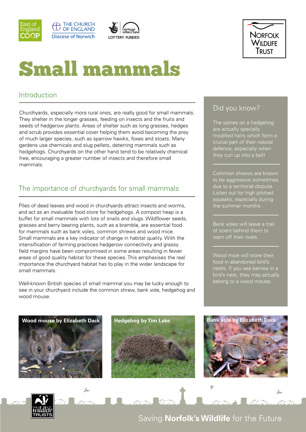 Small Mammals