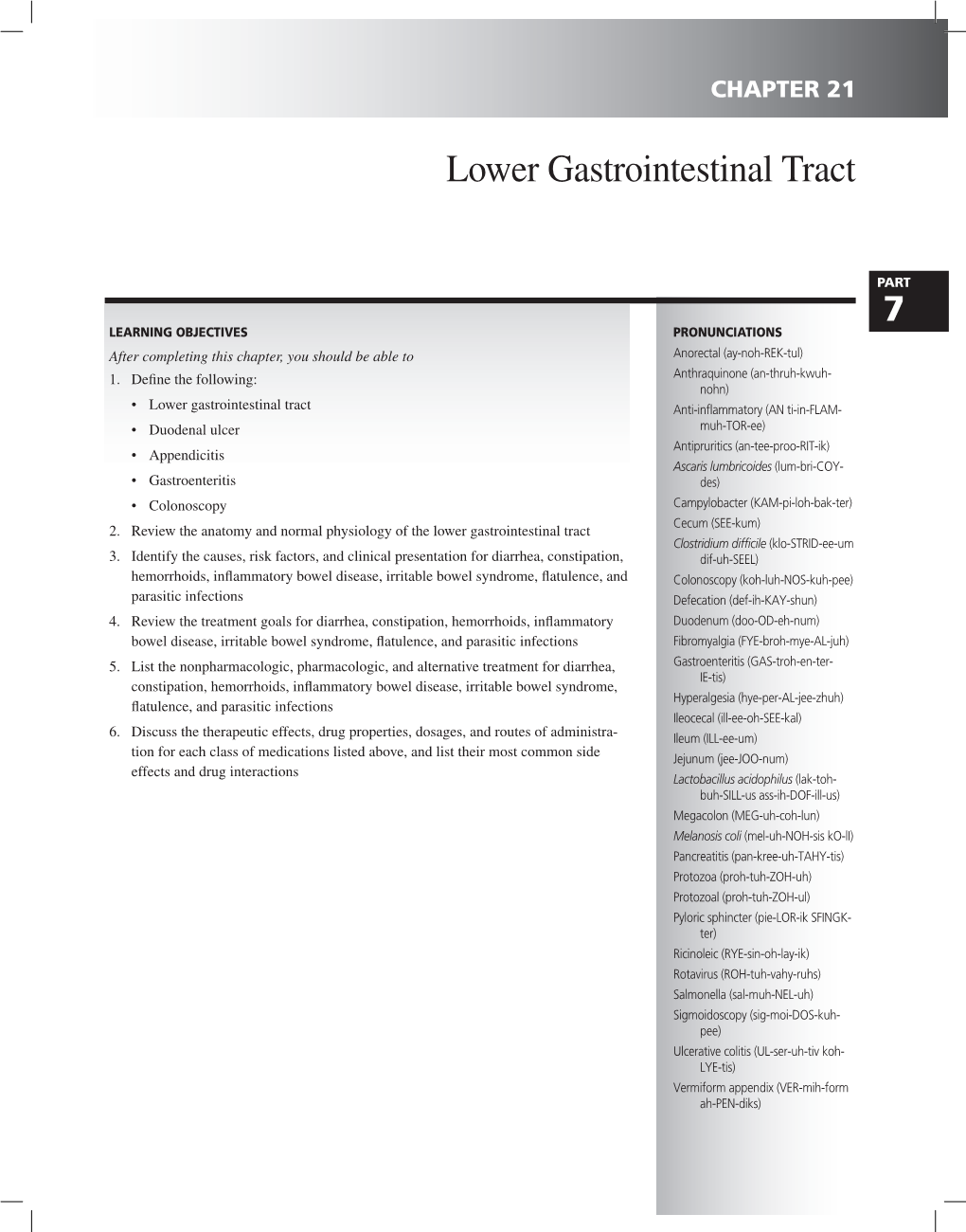 Lower Gastrointestinal Tract