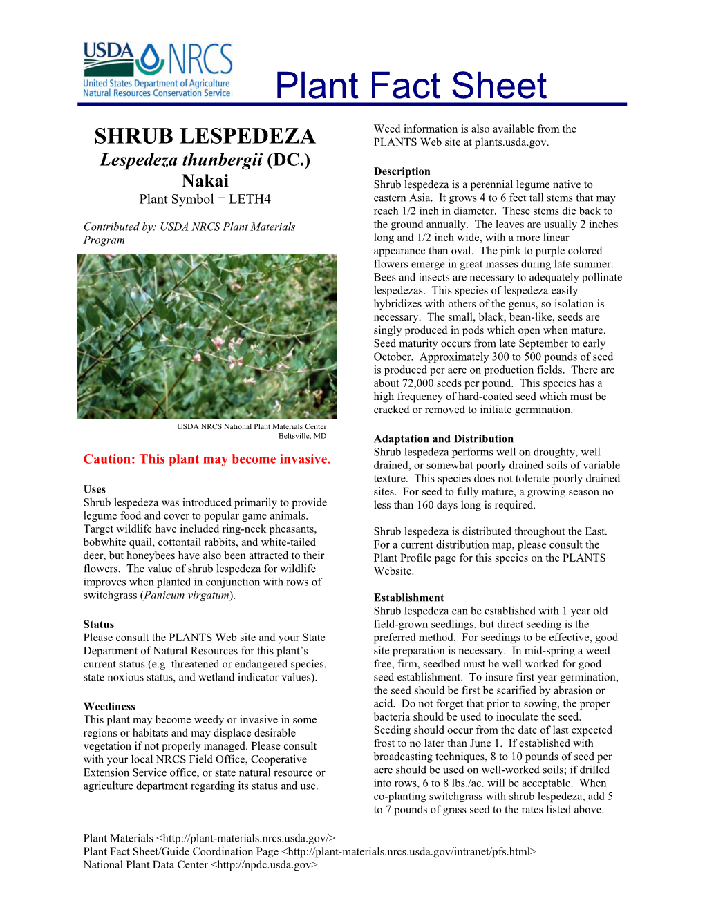 SHRUB LESPEDEZA PLANTS Web Site at Plants.Usda.Gov