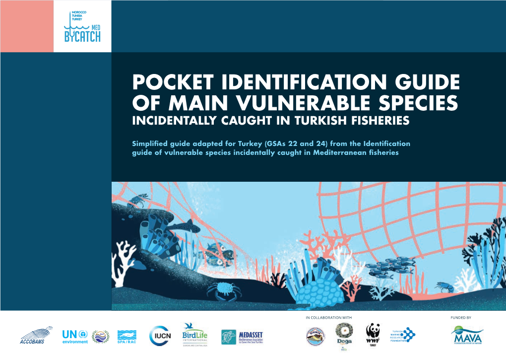 Pocket Identification Guide of Main Vulnerable Species Incidentally Caught in Turkish Fisheries