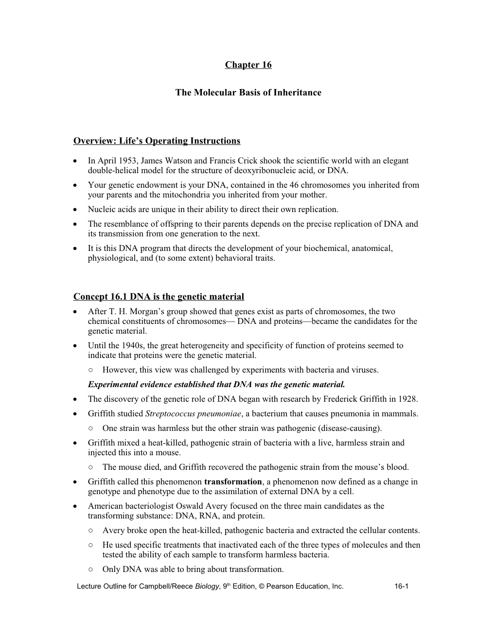 Chapter 16 the Molecule Basis of Inheritance