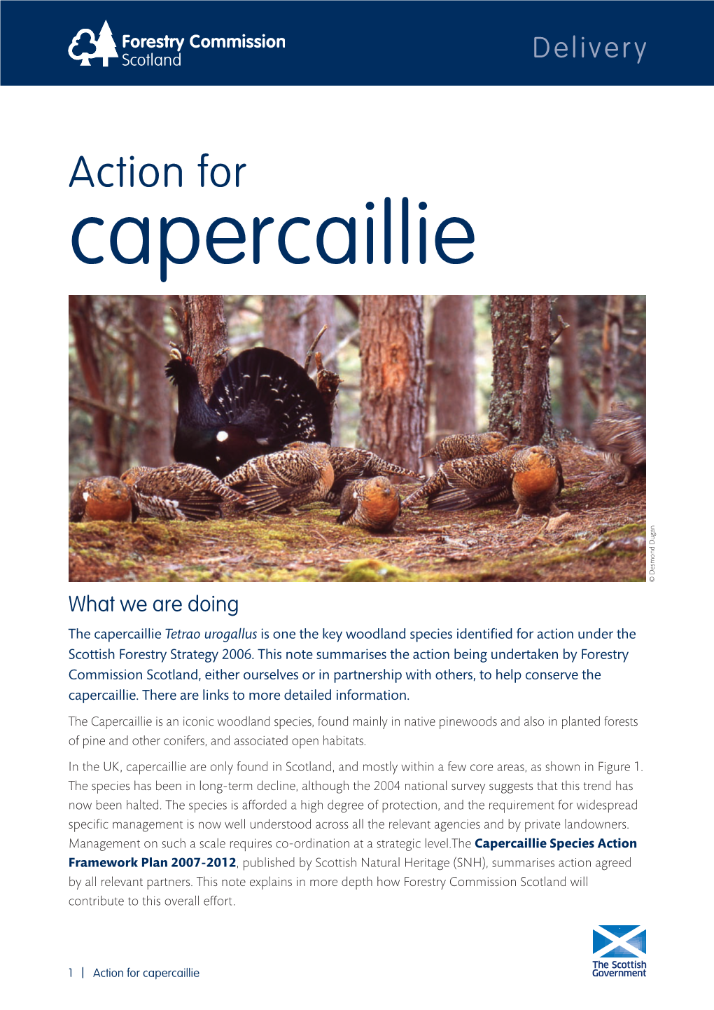 Action for Capercaillie