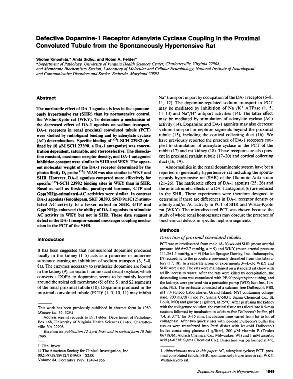 Defective Dopamine-1 Receptor Adenylate Cyclase Coupling in the Proximal Convoluted Tubule from the Spontaneously Hypertensive Rat