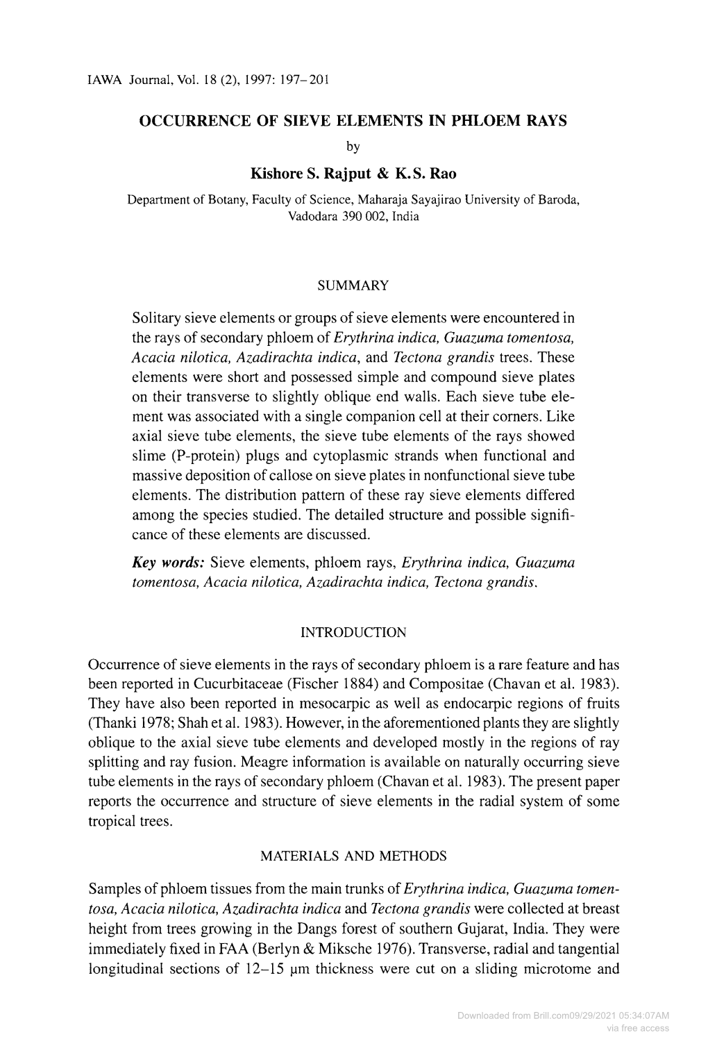 OCCURRENCE of SIEVE ELEMENTS in PHLOEM RAYS Kishore S. Rajput & K. S. Rao Solitary Sieve Elements Or Groups of Sieve Element