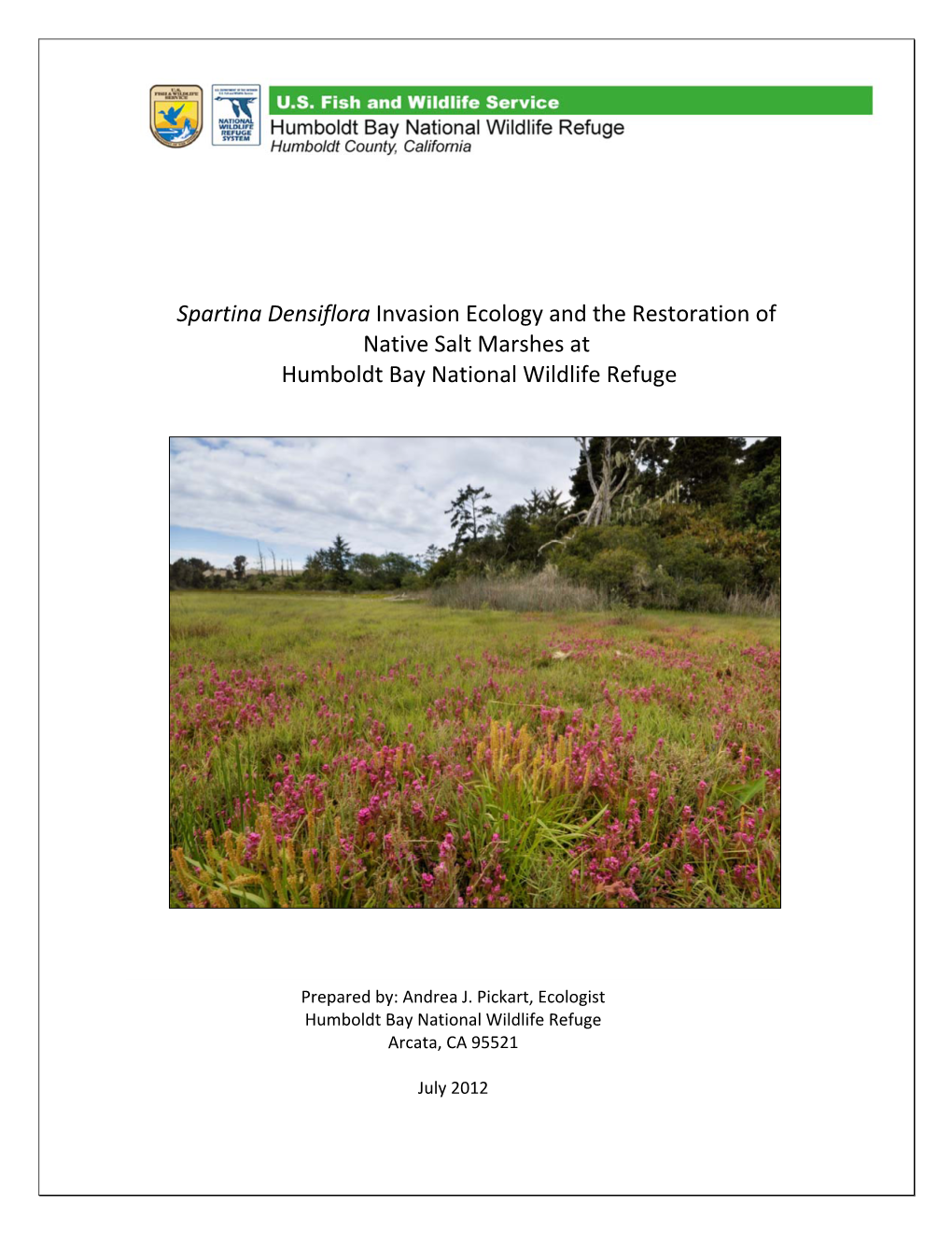 Spartina Densiflora Invasion Ecology and the Restoration of Native Salt Marshes at Humboldt Bay National Wildlife Refuge