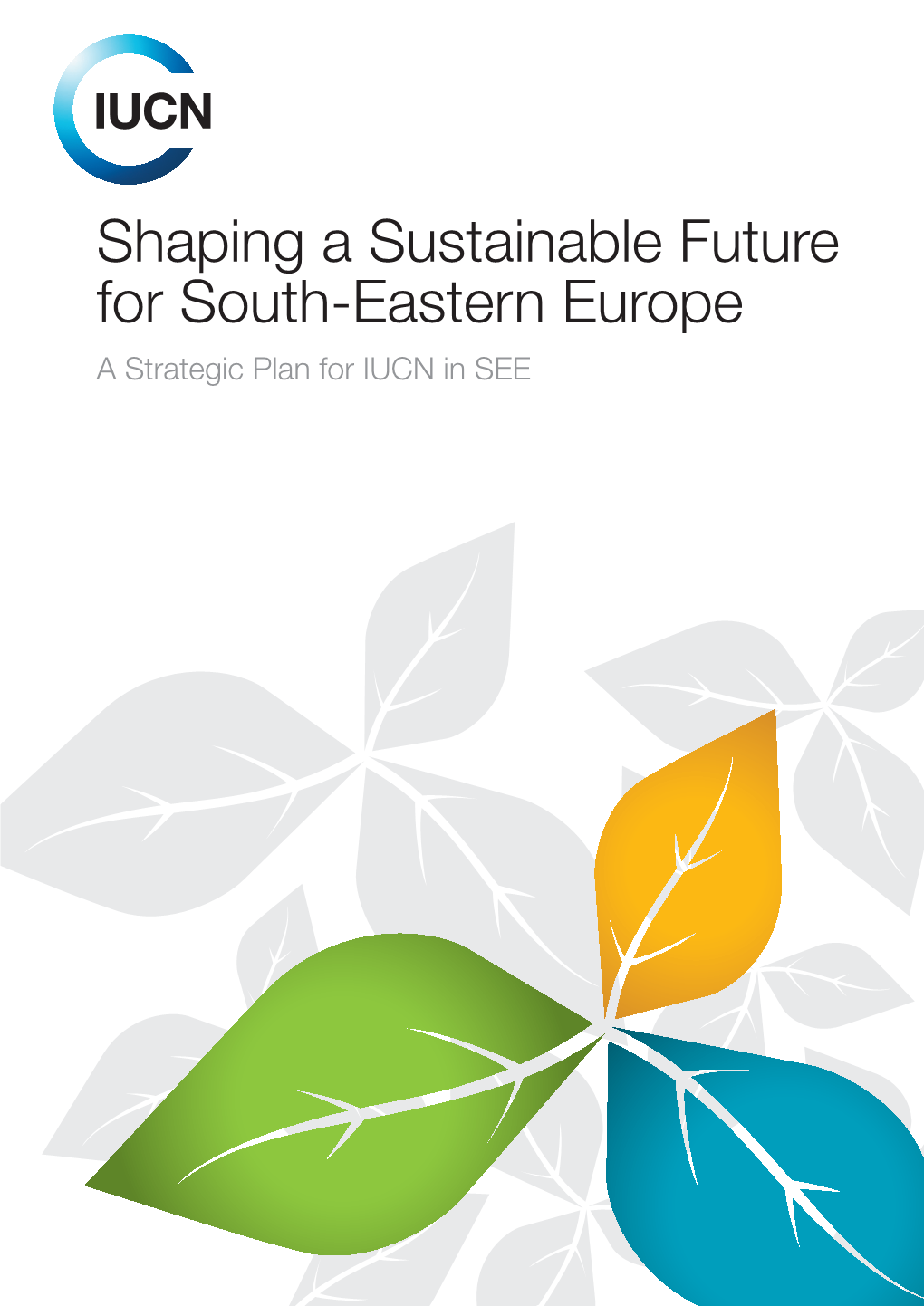 Strategy Shaping a Sustainable Future For