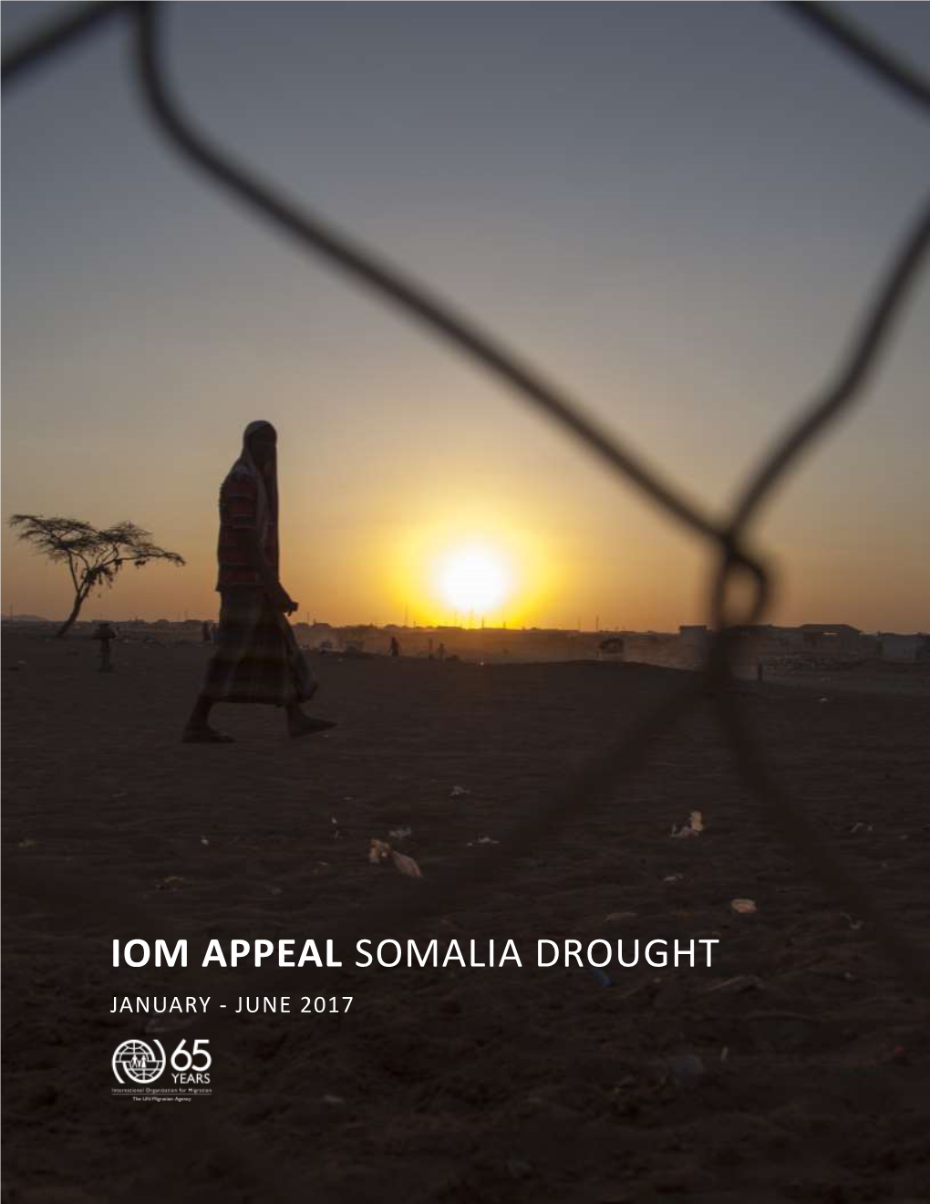 Iom Appeal Somalia Drought January - June 2017 Content