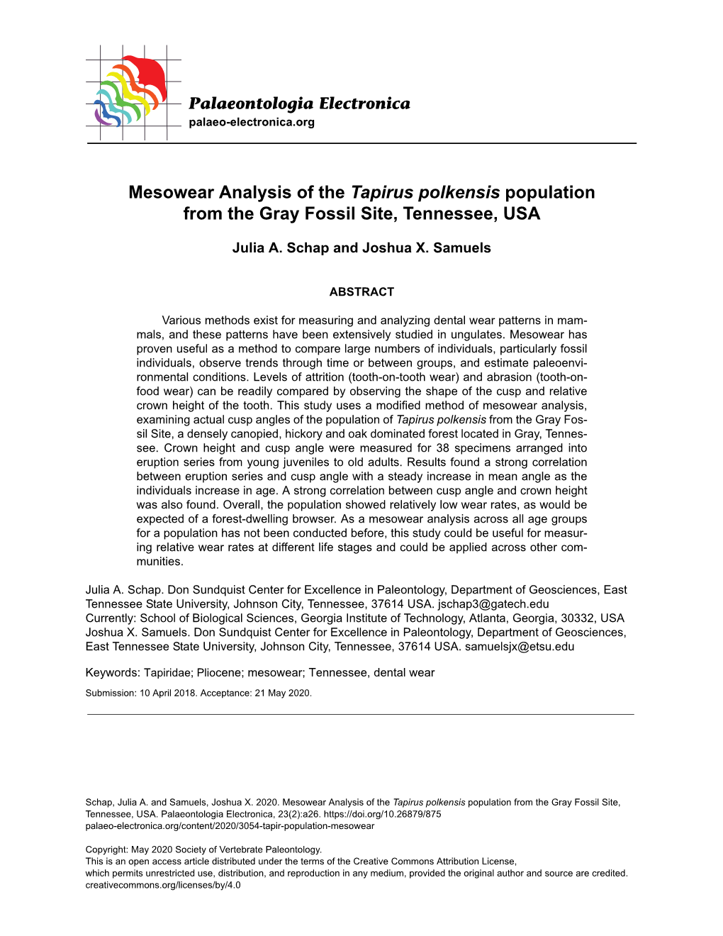 Mesowear Analysis of the Tapirus Polkensis Population from the Gray Fossil Site, Tennessee, USA