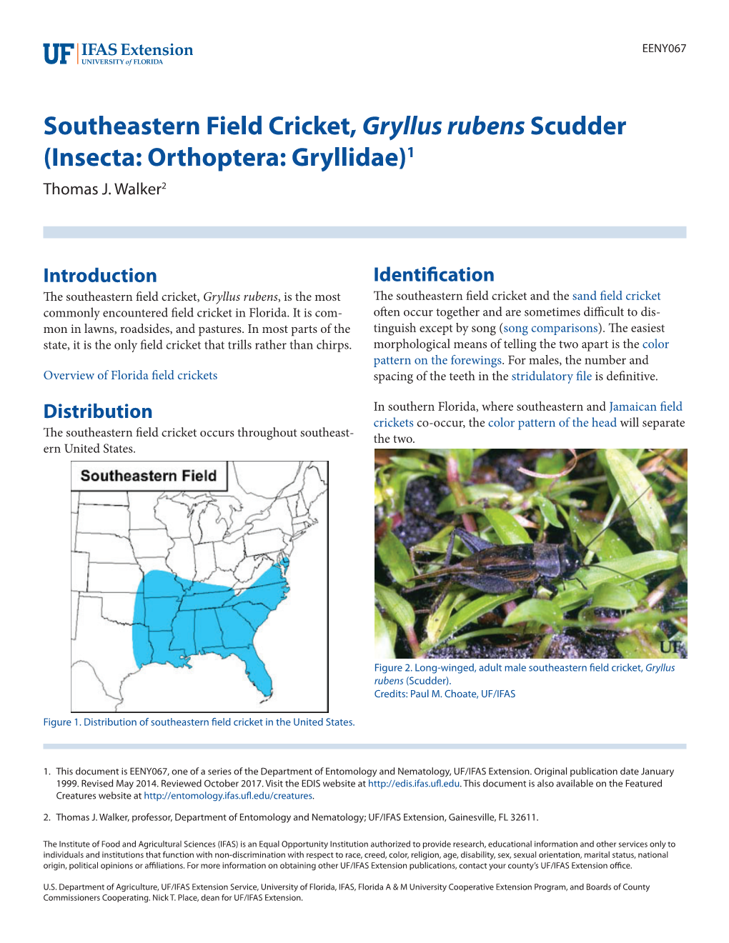 Southeastern Field Cricket, Gryllus Rubens Scudder (Insecta: Orthoptera: Gryllidae)1 Thomas J