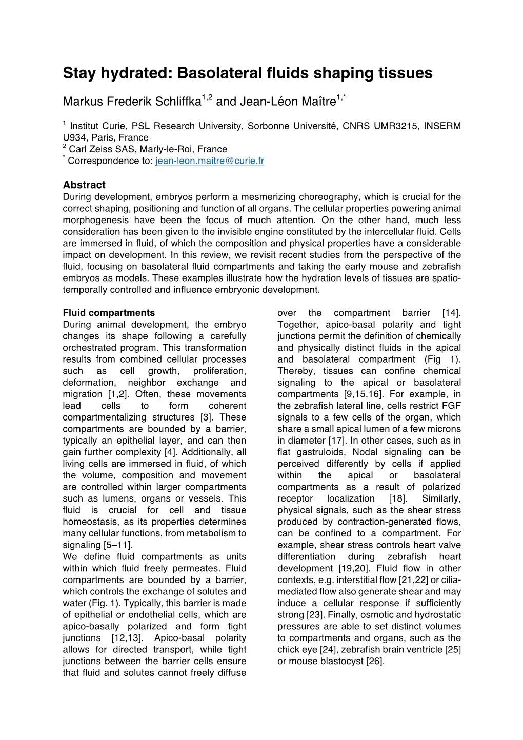 Stay Hydrated: Basolateral Fluids Shaping Tissues