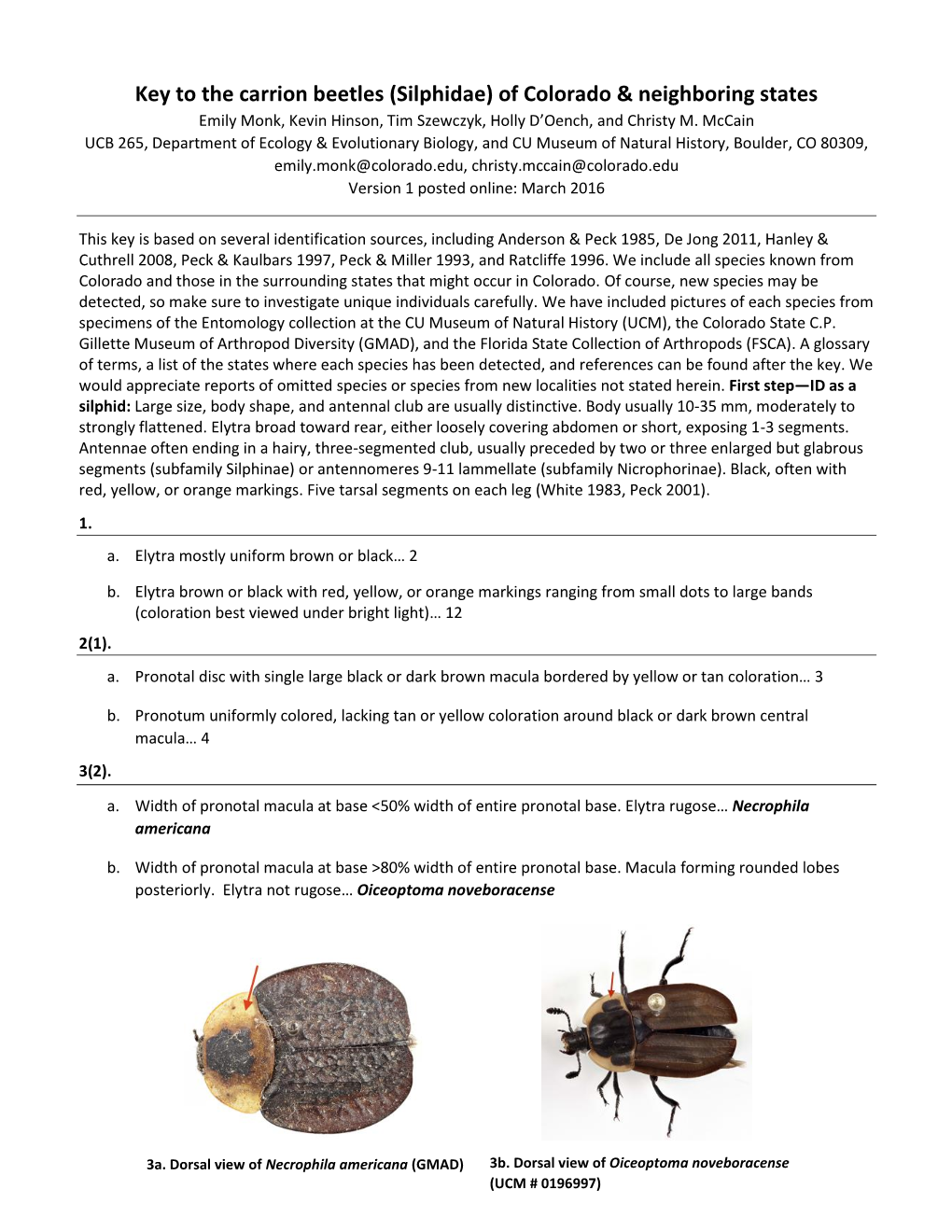 Key to the Carrion Beetles (Silphidae) of Colorado & Neighboring States